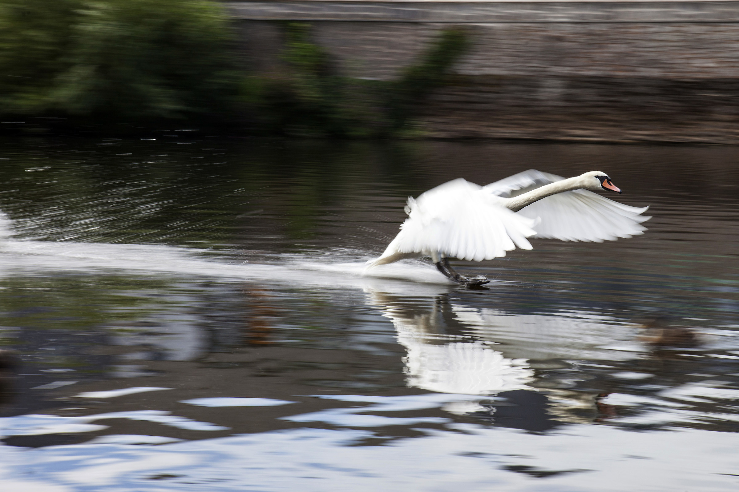 touch down, Exeter Quay-