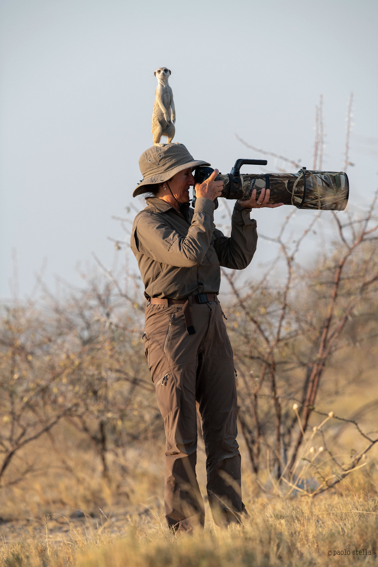 The lookout... at the top is better