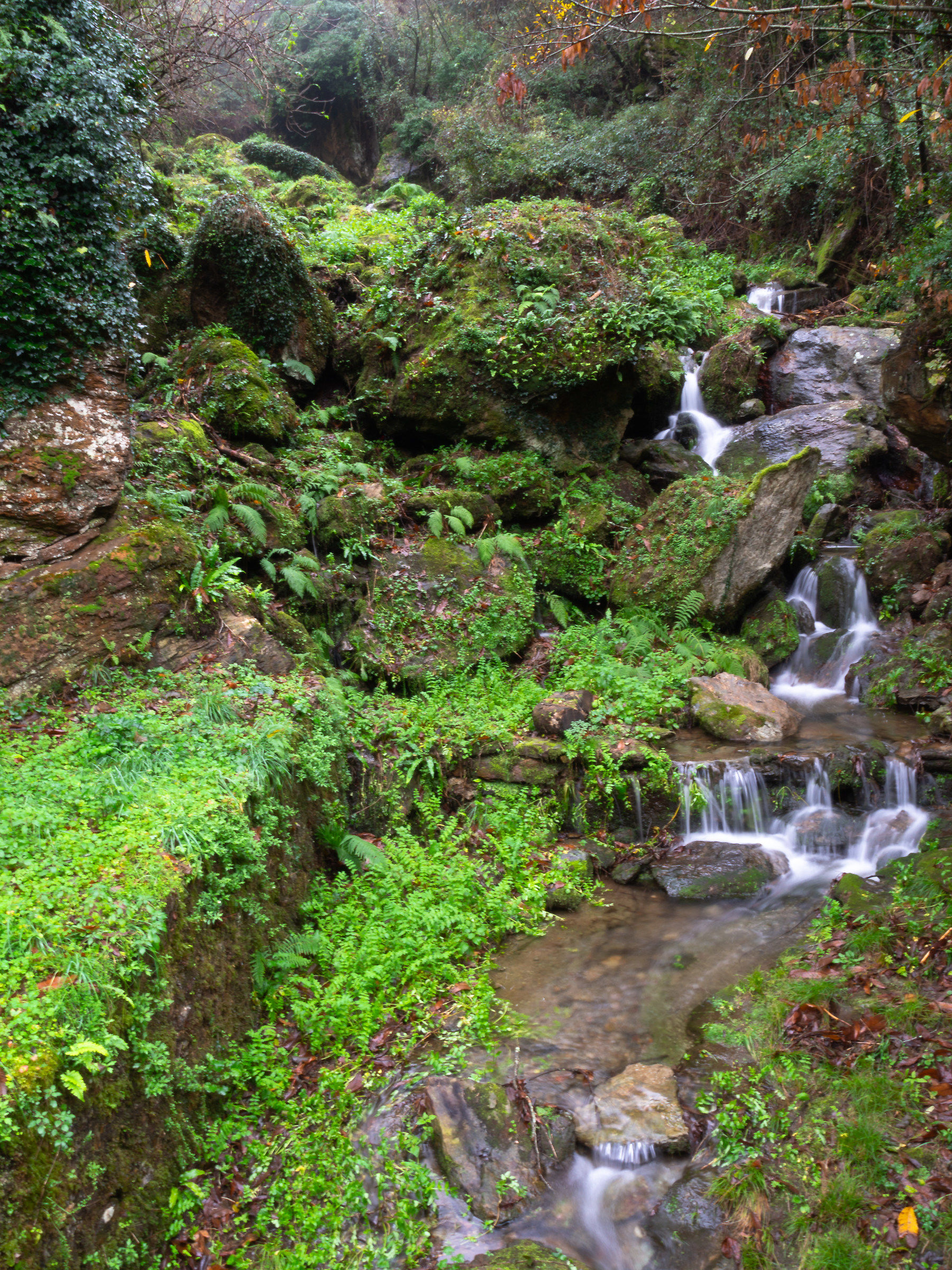 Canale del pozzo di Milano (Seravezza)