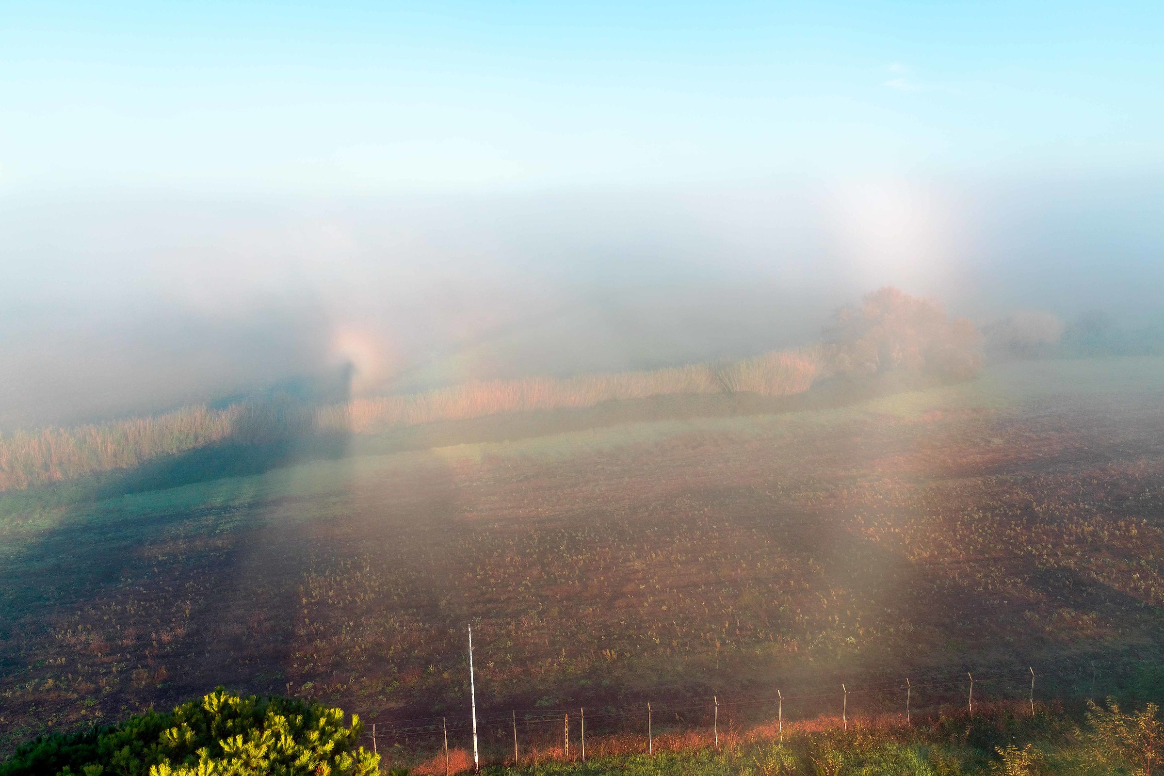 Fogbow with Crown