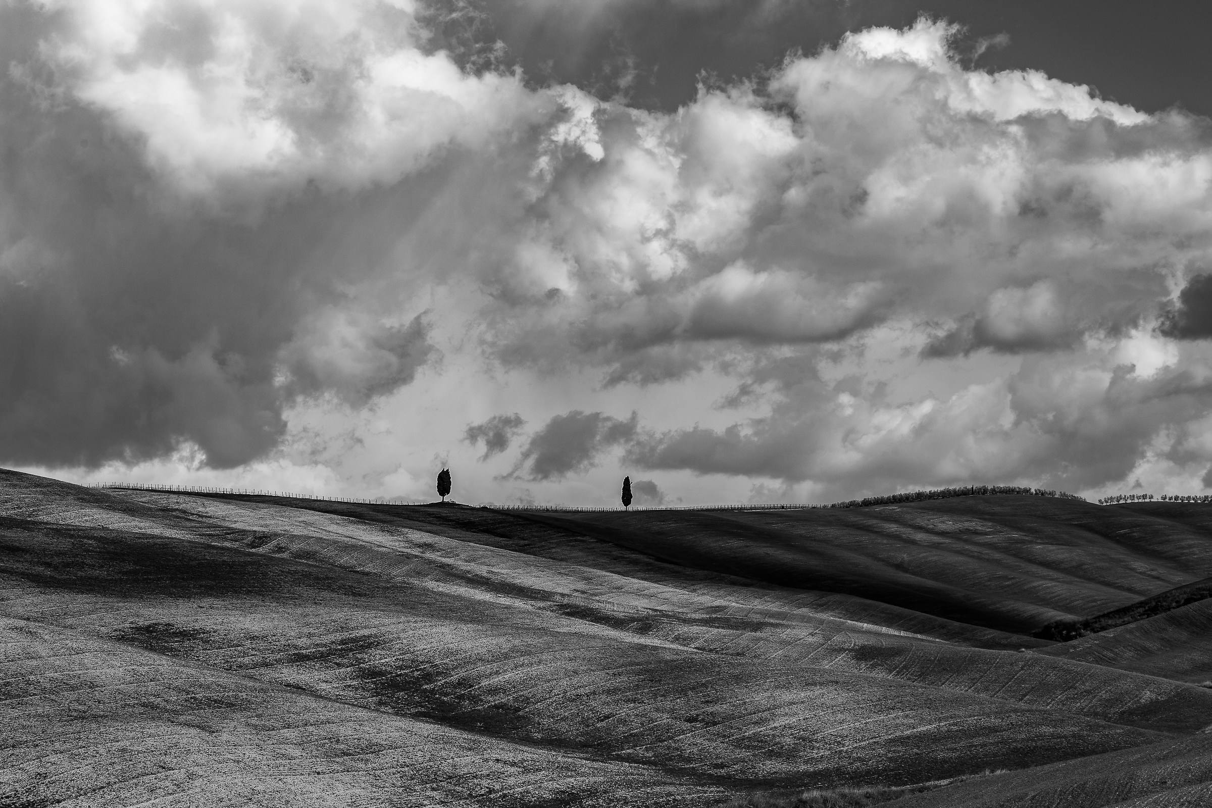 The only equal first