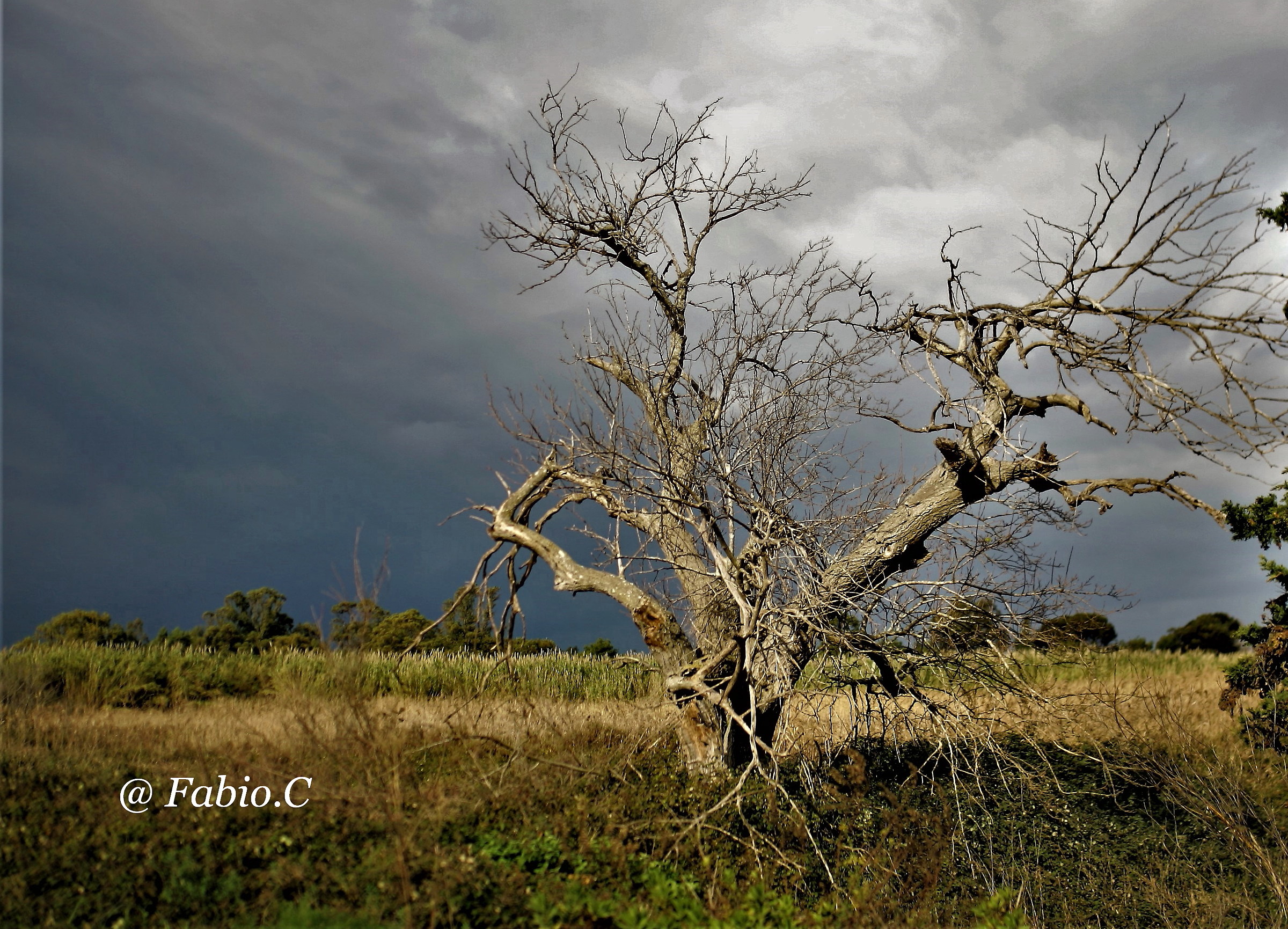 Before the thunderstorm