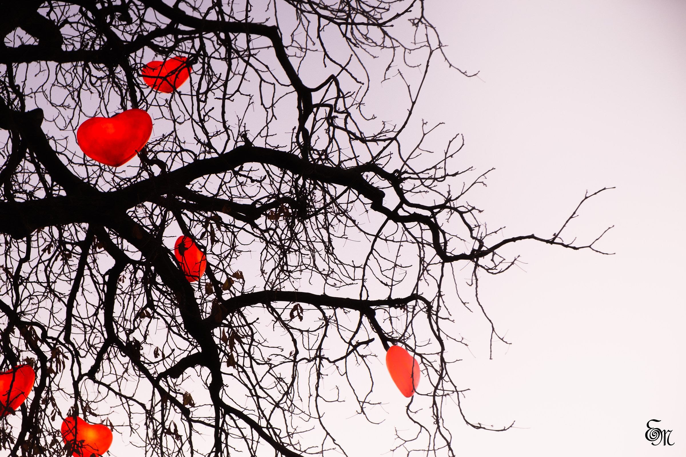 Suspended Hearts