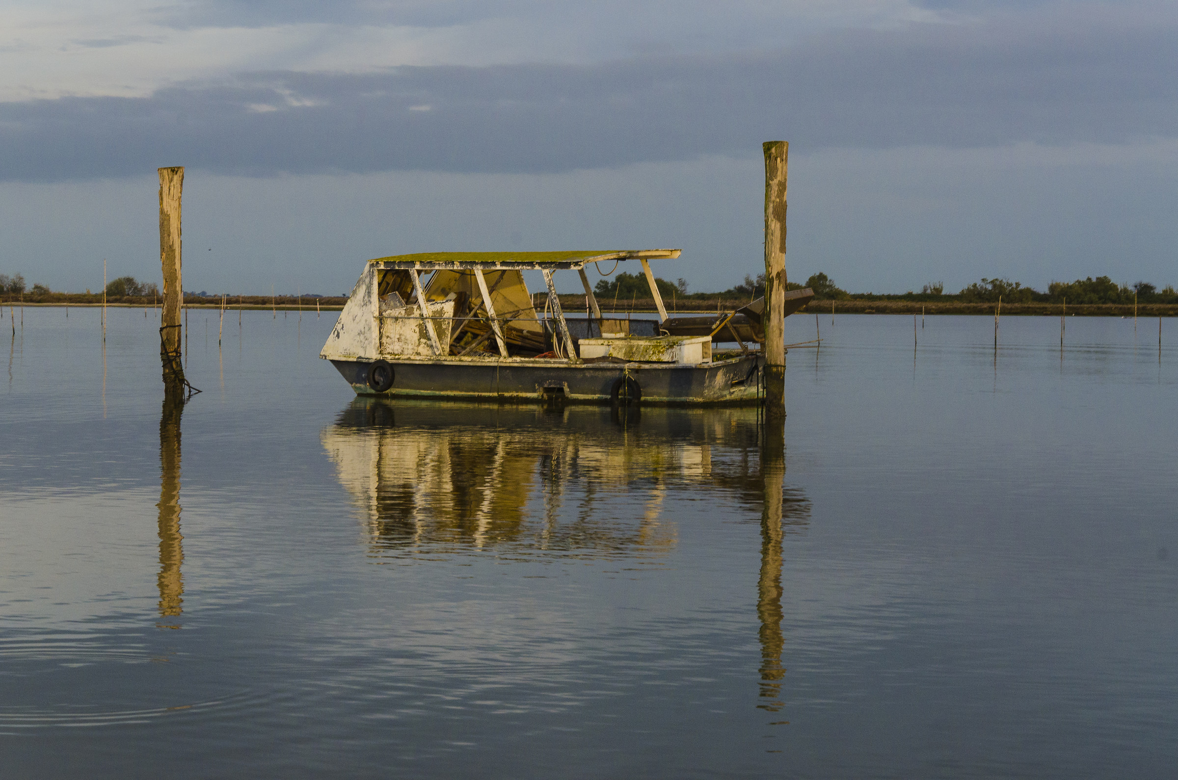 2 Oasi di Canneviè, foce del Po, provincia di Ferrara