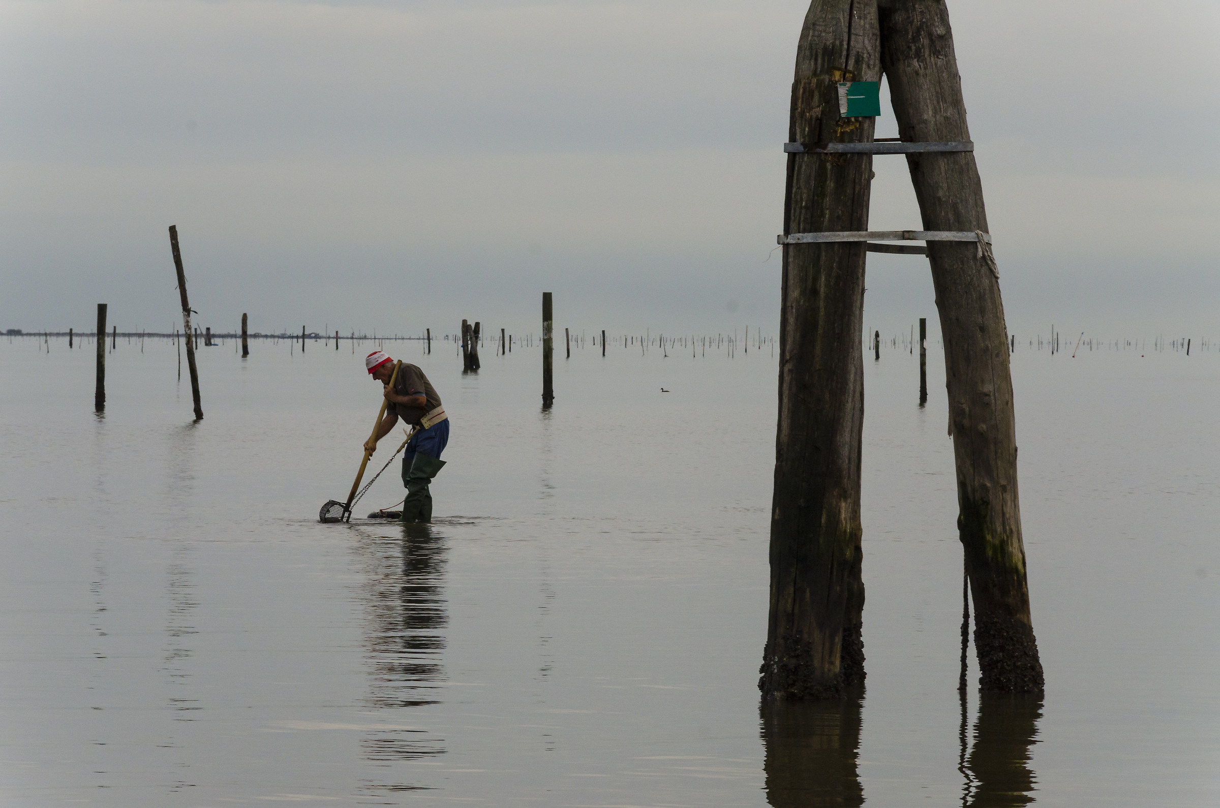 3 Oasi di Canneviè, foce del Po, provincia di Ferrara