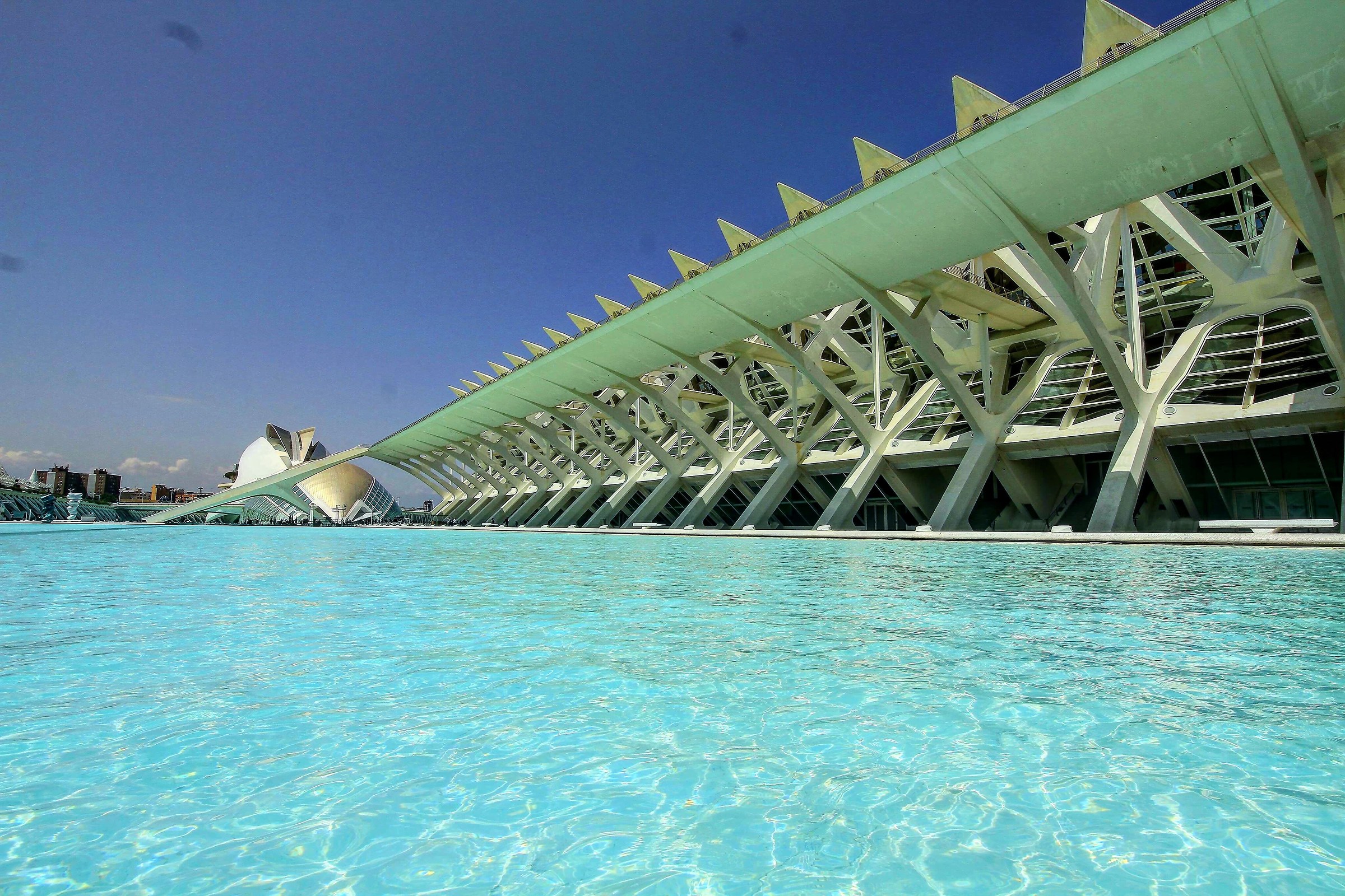 Museum of Sciences Valencia