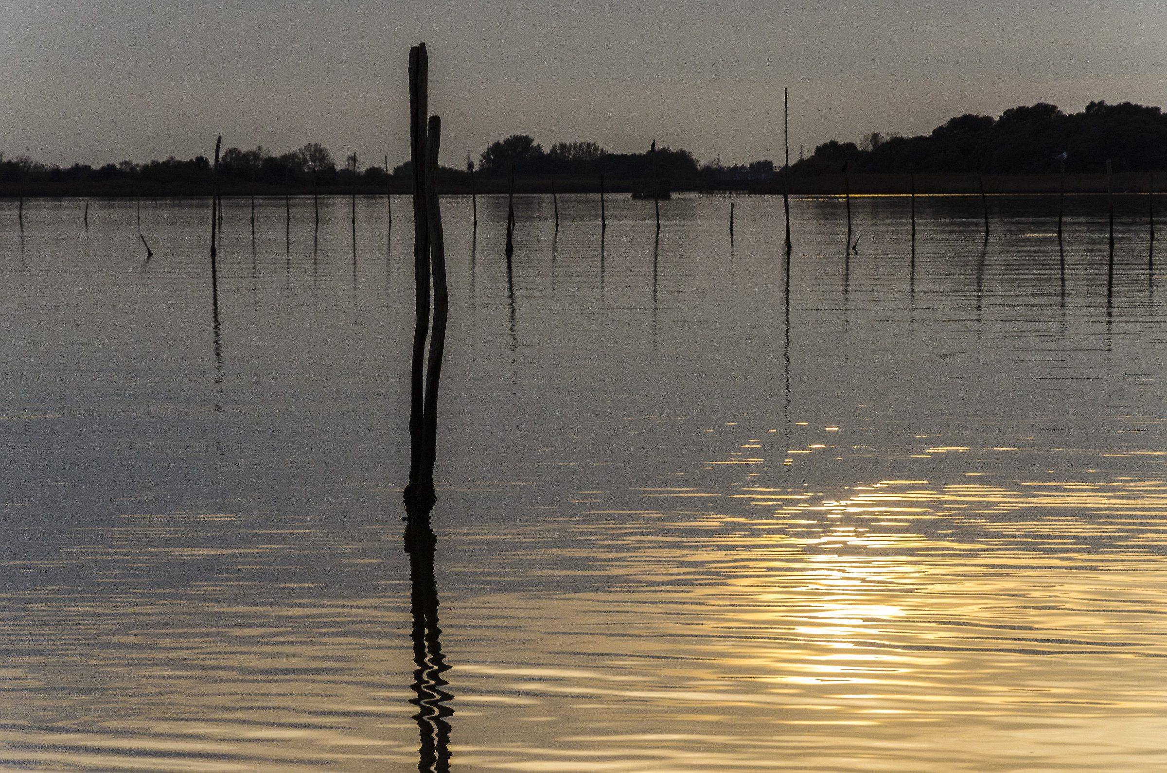 Oasi di Canneviè, foce del Po, provincia di Ferrara