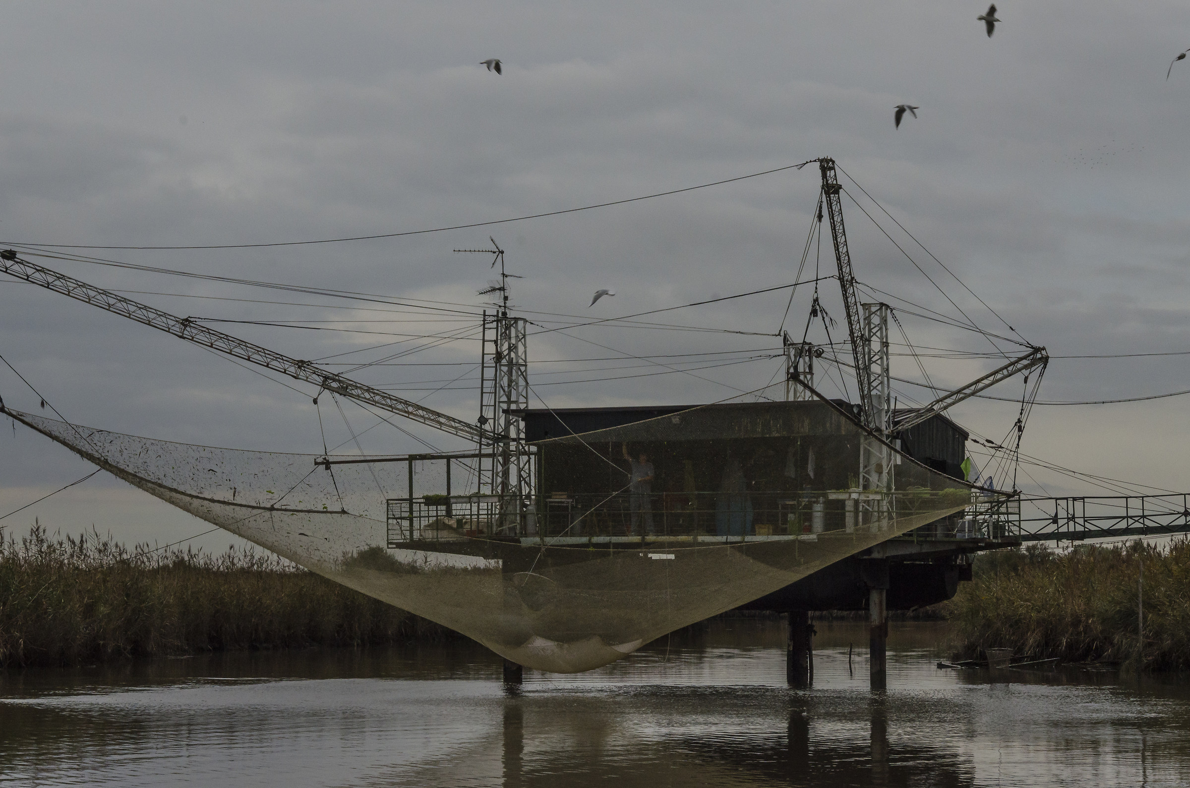 Oasi di Canneviè, foce del Po, provincia di Ferrara