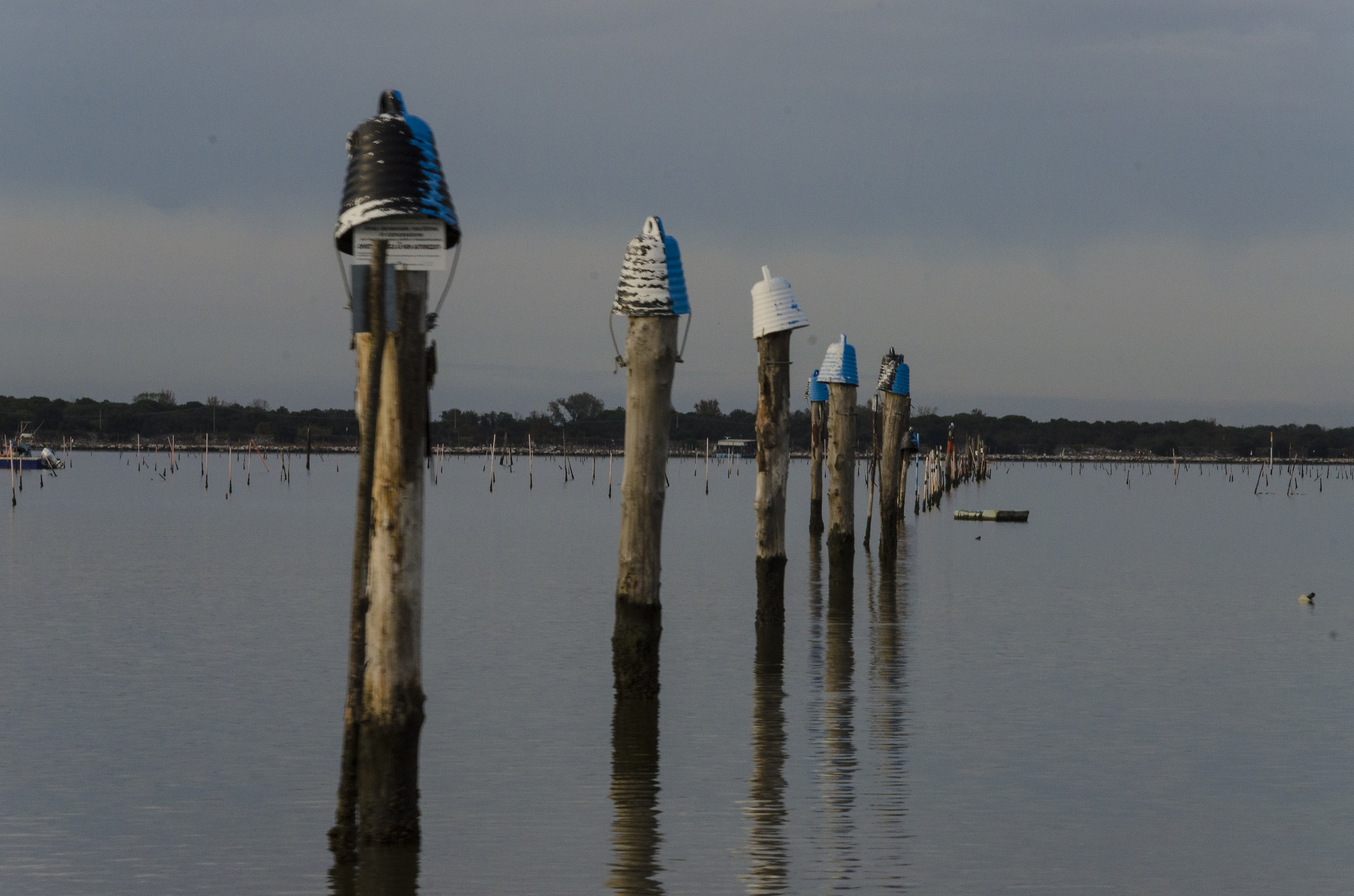 Oasi di Canneviè, foce del Po, provincia di Ferrara