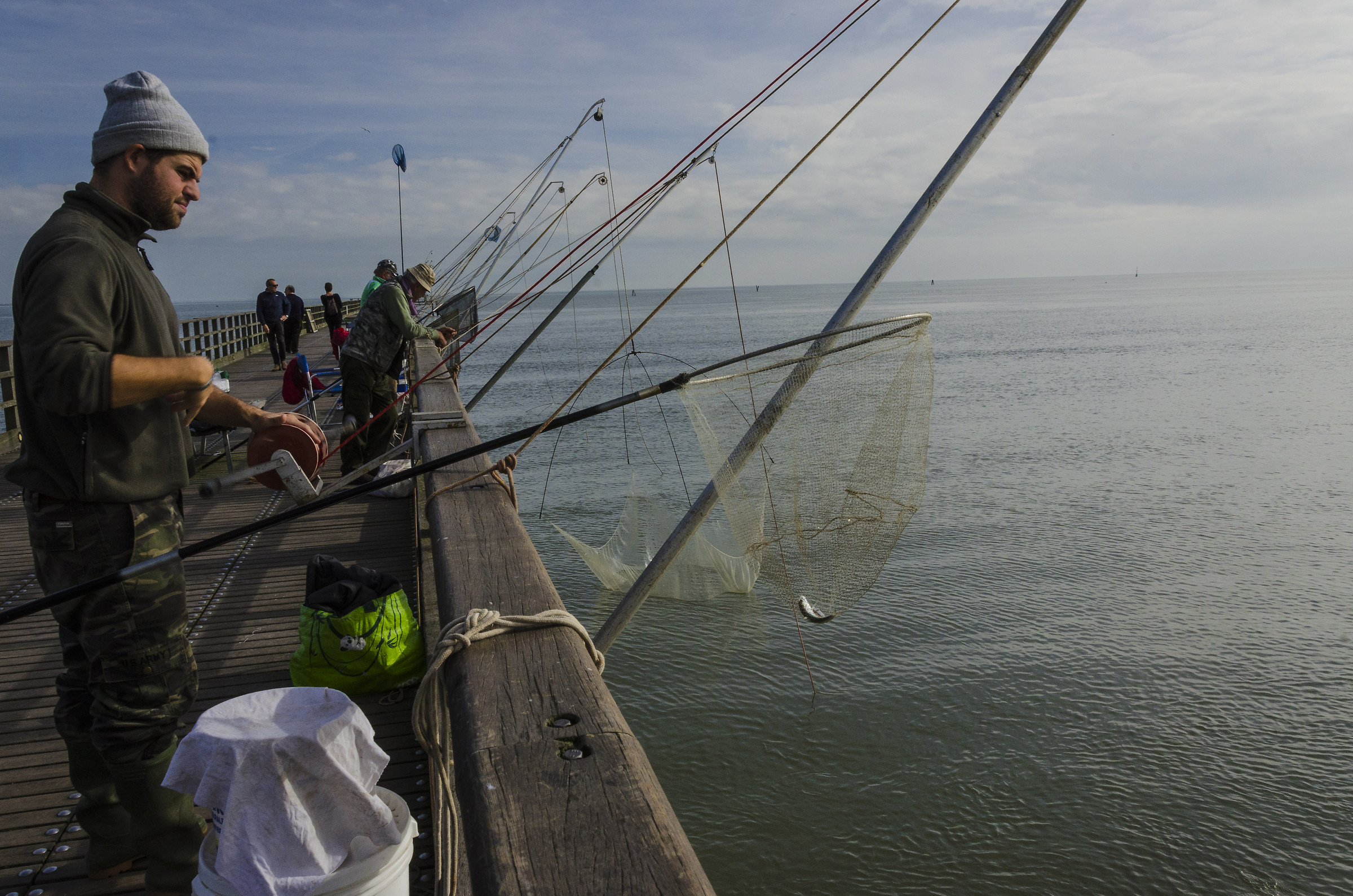Oasi di Canneviè, foce del Po, provincia di Ferrara