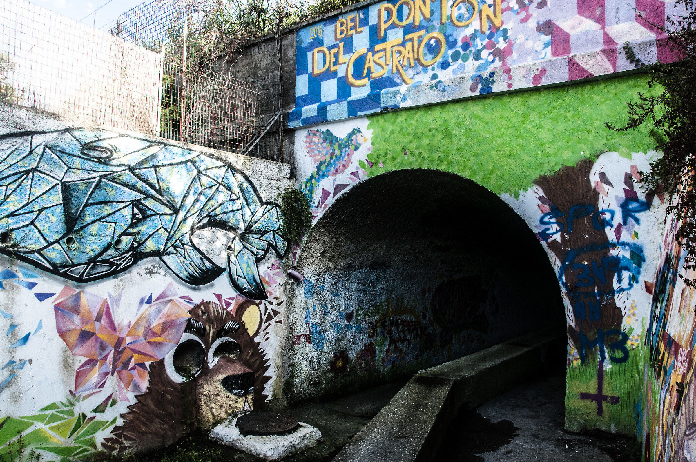 Street art Antidegrade 2