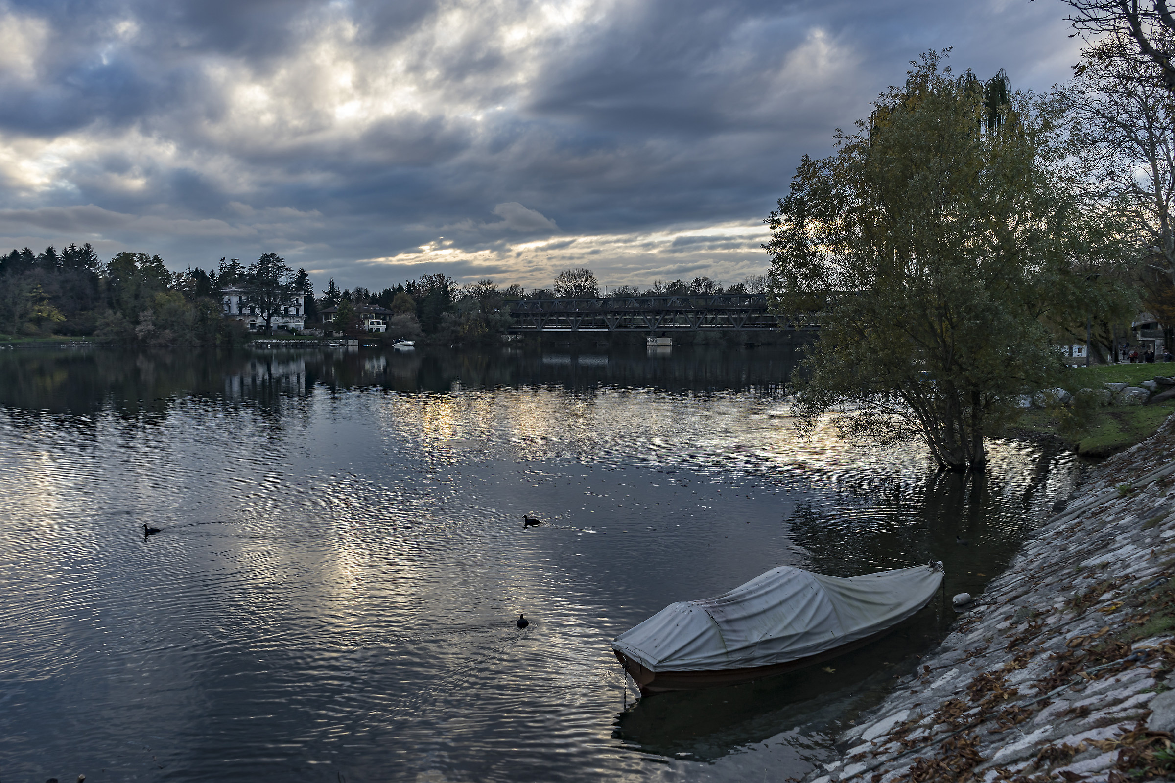 Domenica 25 novembre 2018, 16:09