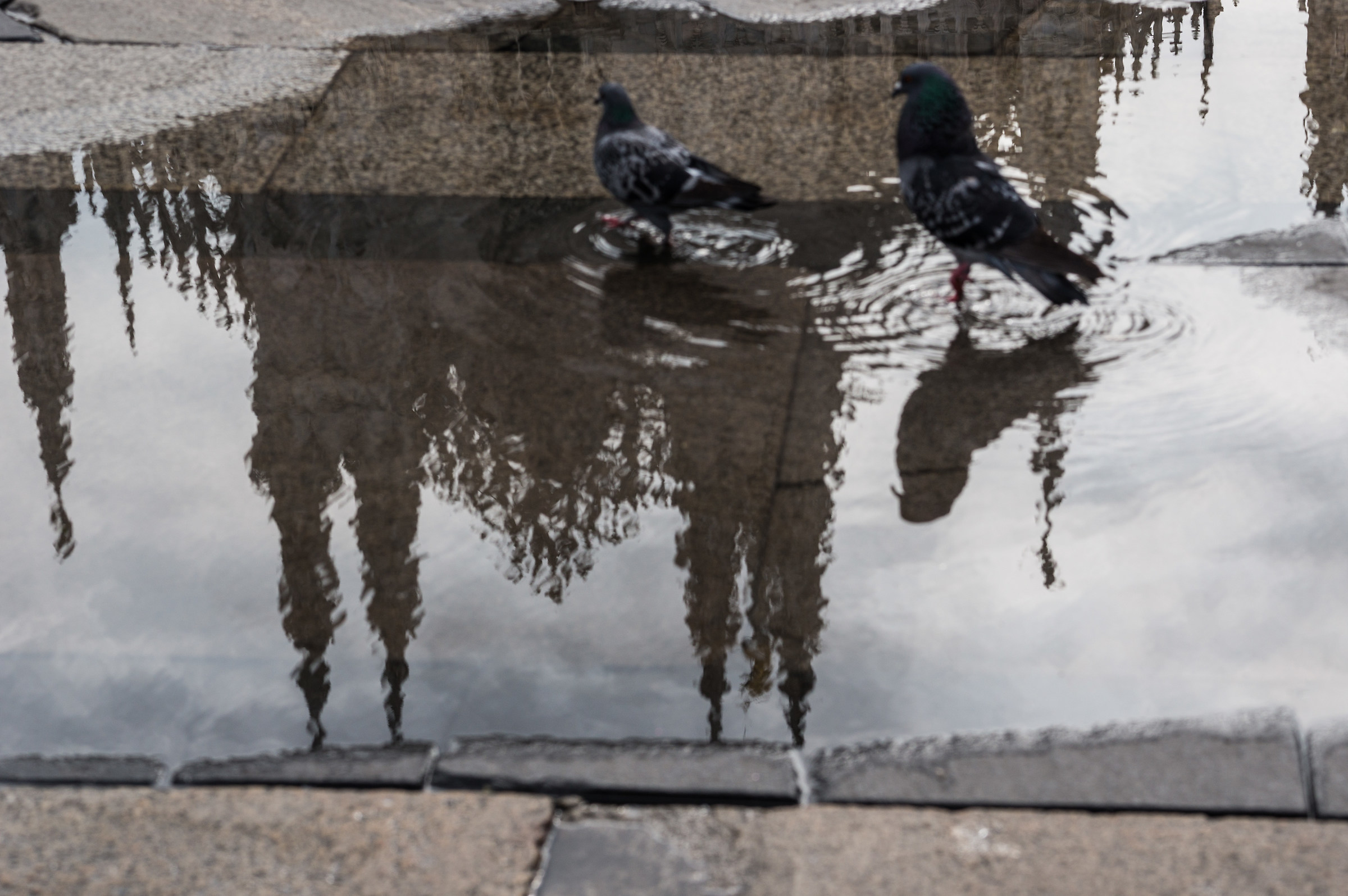 Gli abitanti della piazza