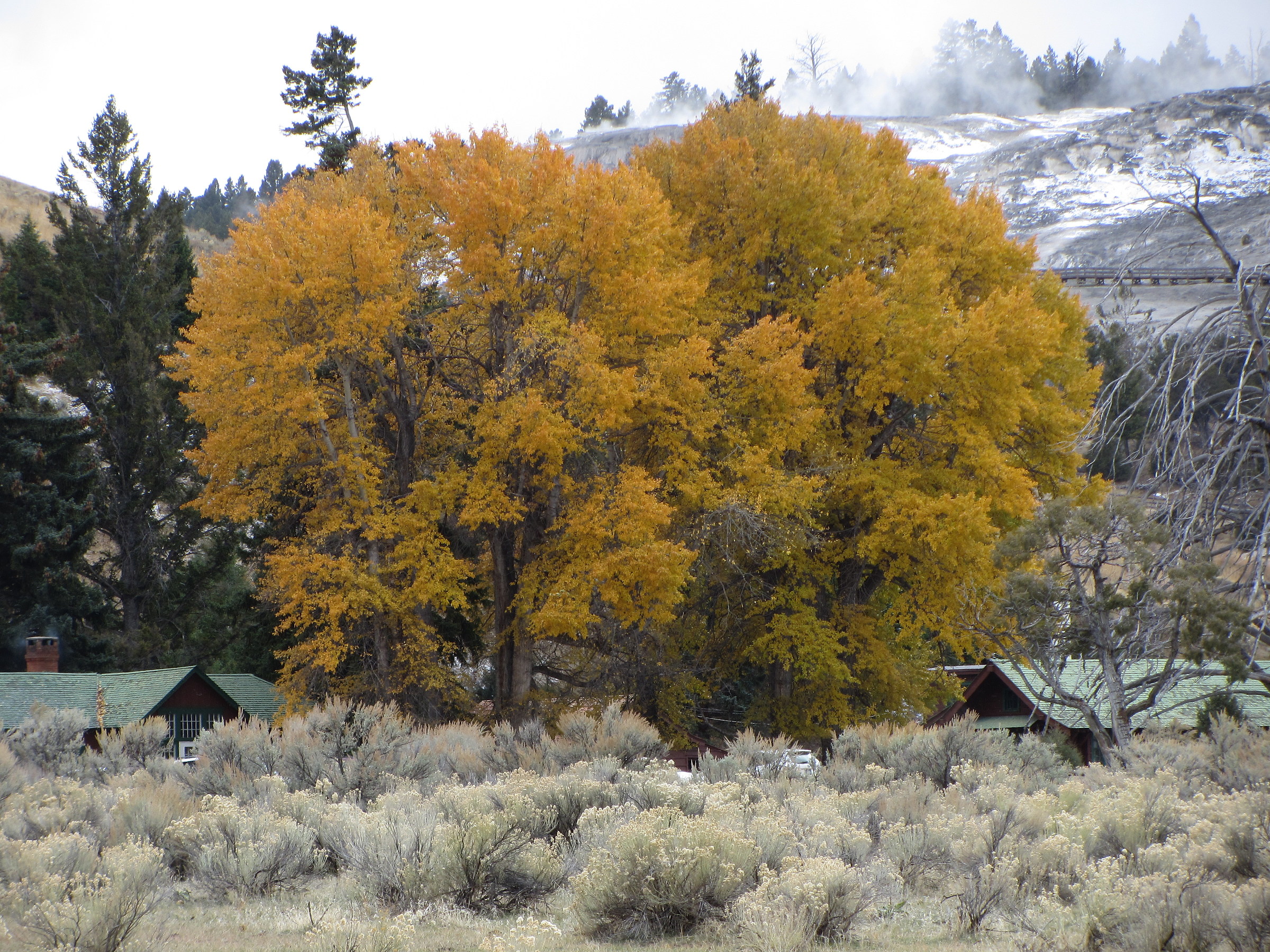 Autunno a Yellowstone