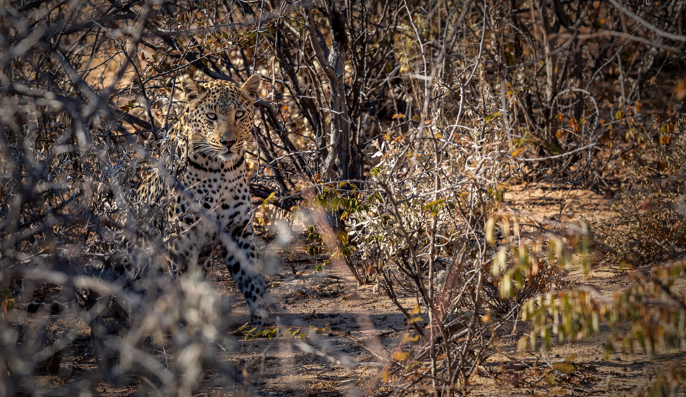 Incontri ravvicinati...