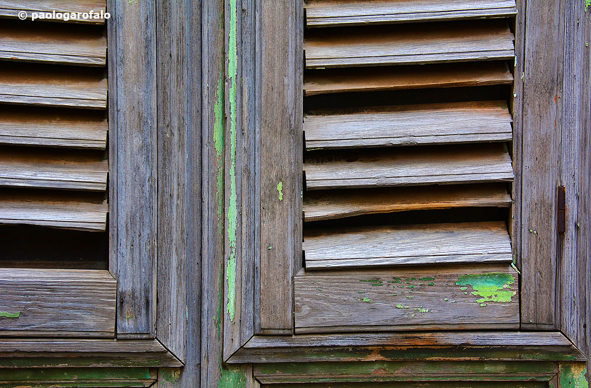 Tracce di un verde passato