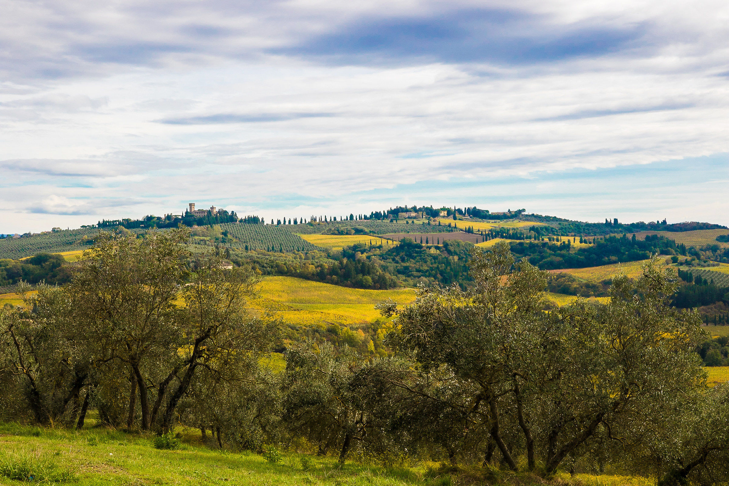 Tuscan countryside