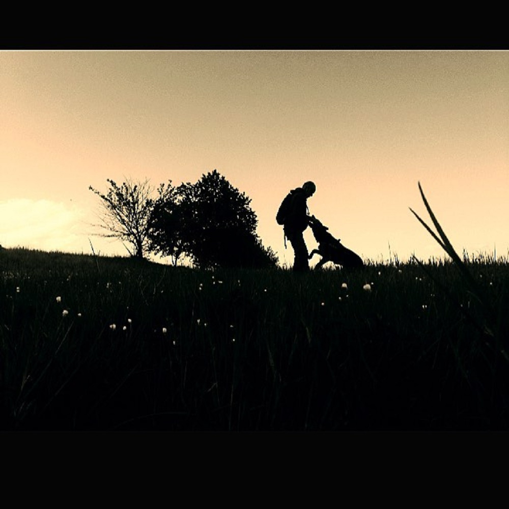 Quadrupede bipede, il passo è breve