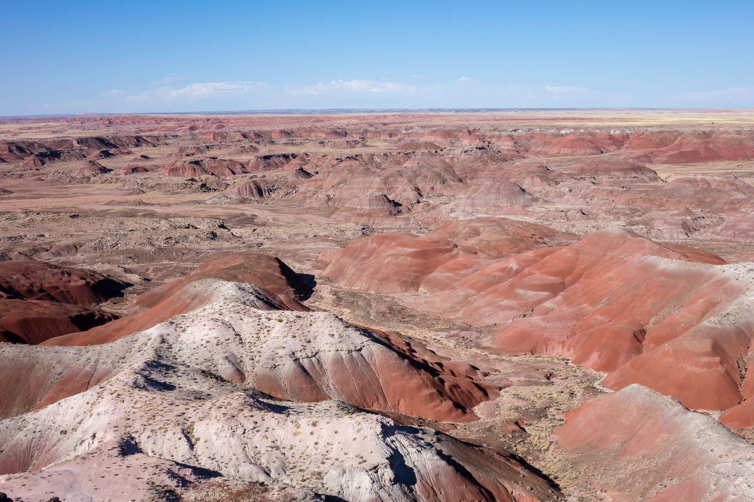 Painted Desert