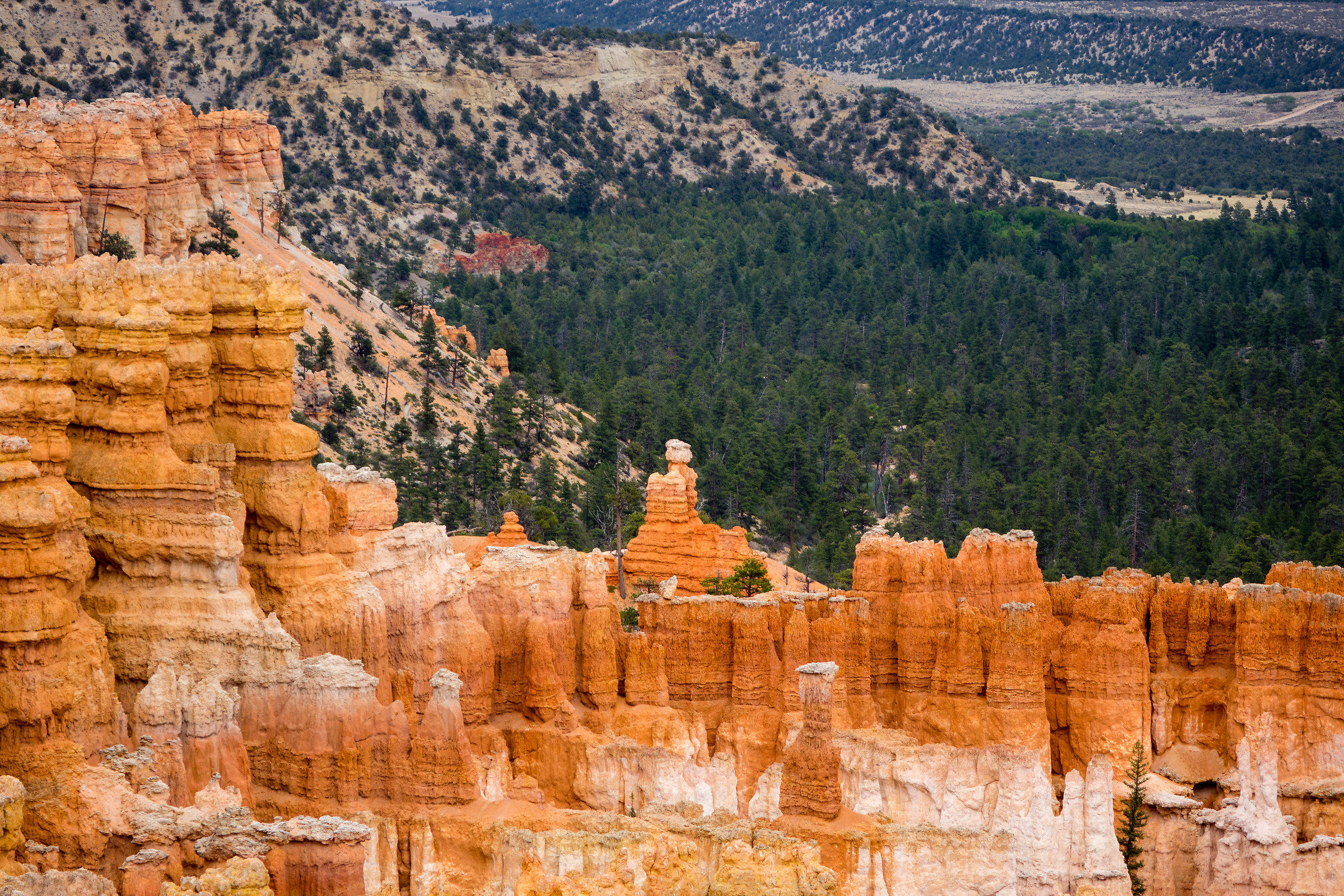 Bryce Canyon