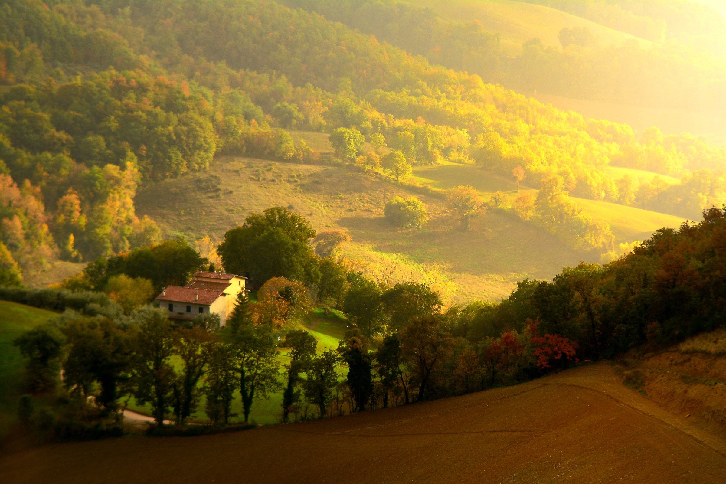 The house in the Valley