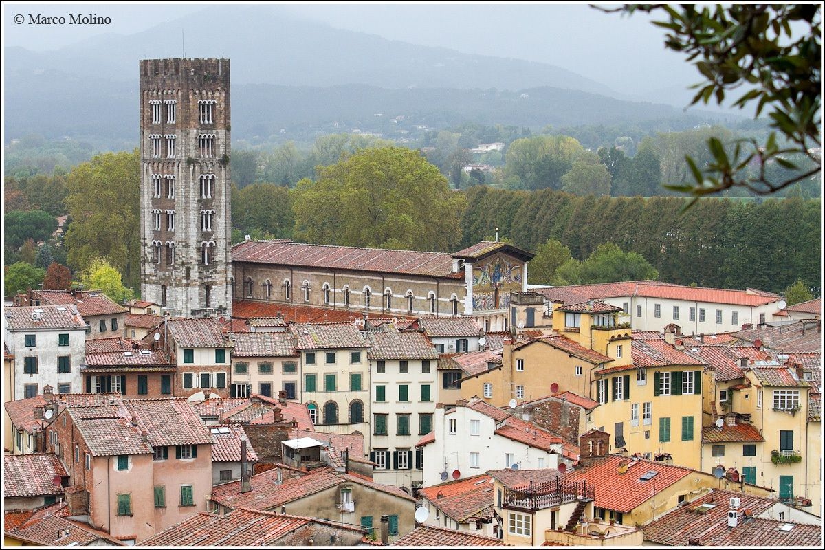 Lucca, Panorama dalla Torre Guinigi
