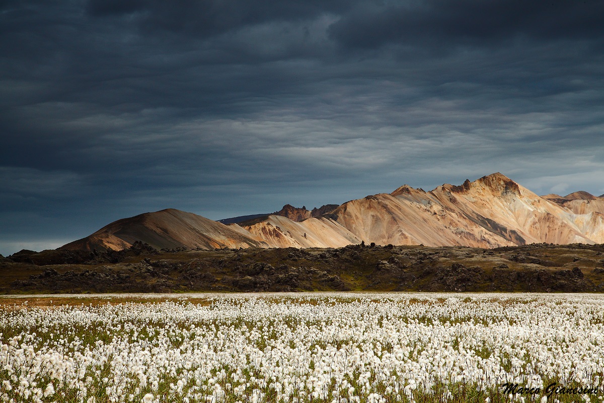 Iceland Landmannalaugar