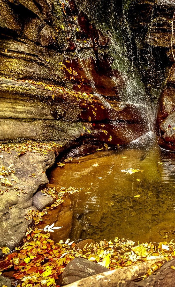 L'autunno nell'acqua