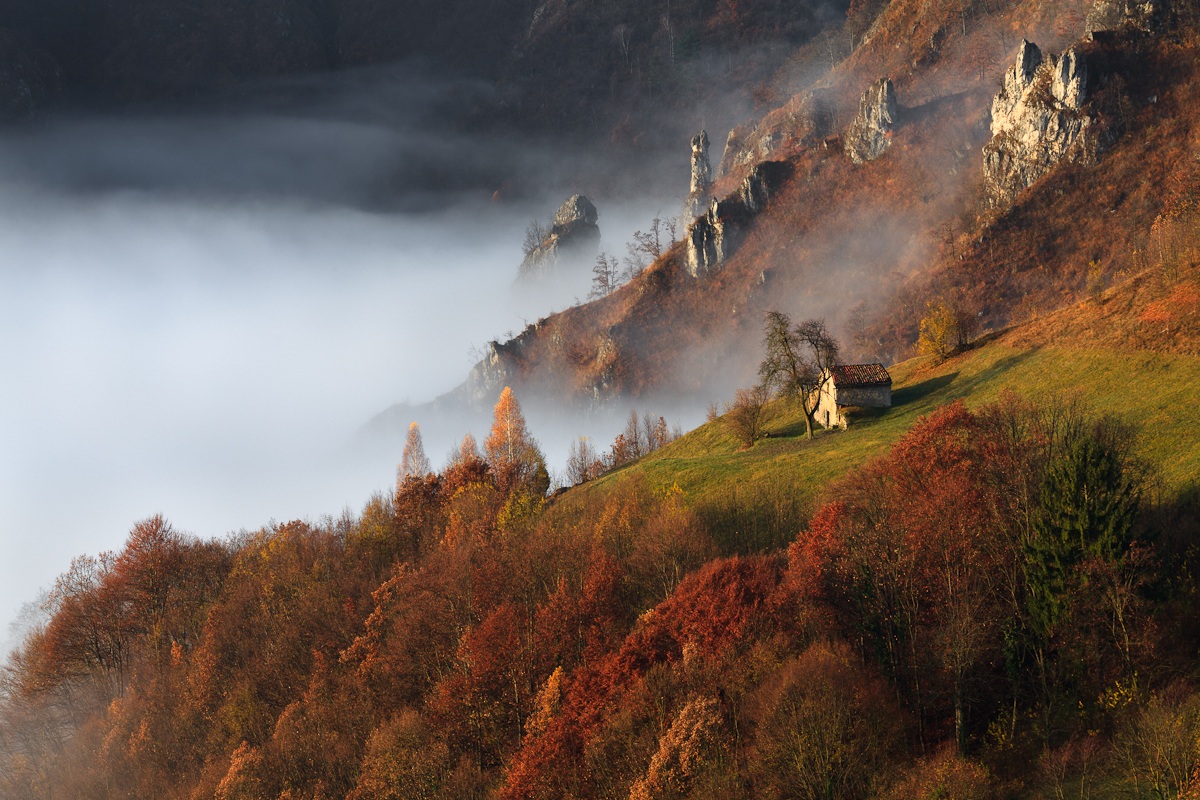 La nebbia agli irti colli.....