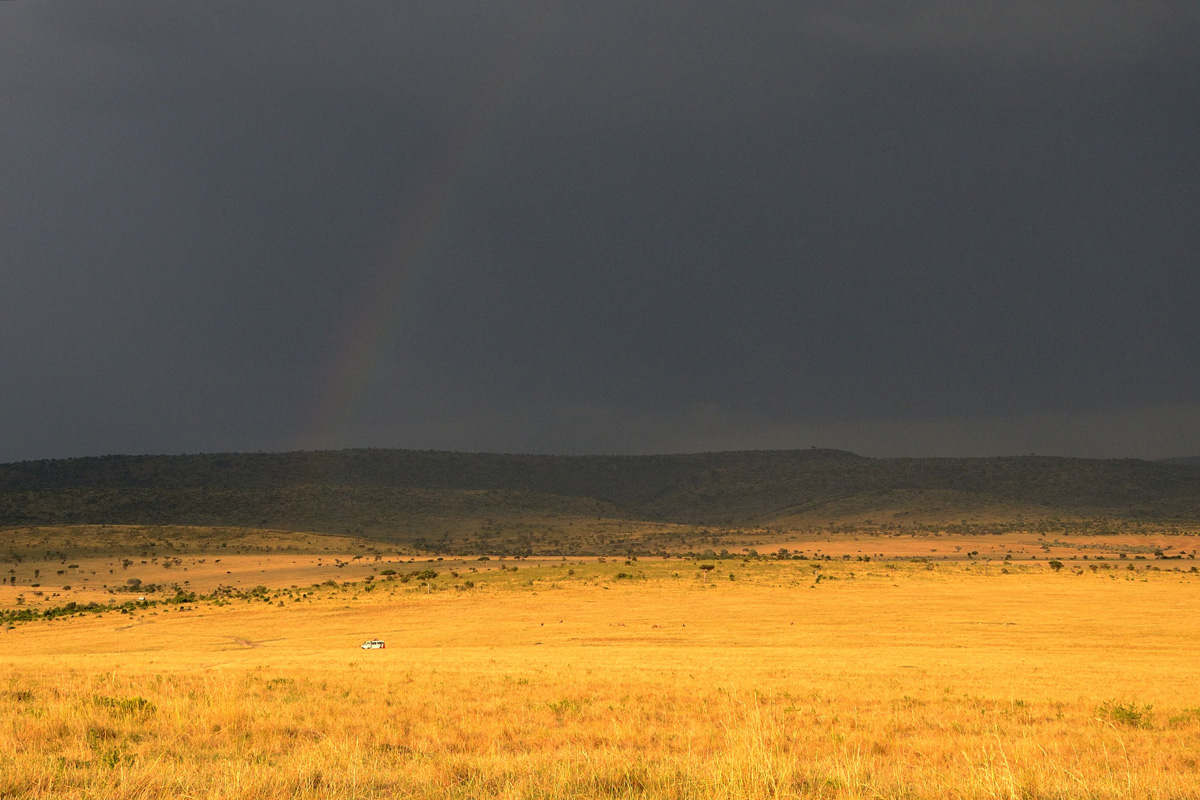 Temporale in arrivo nel Masai Mara
