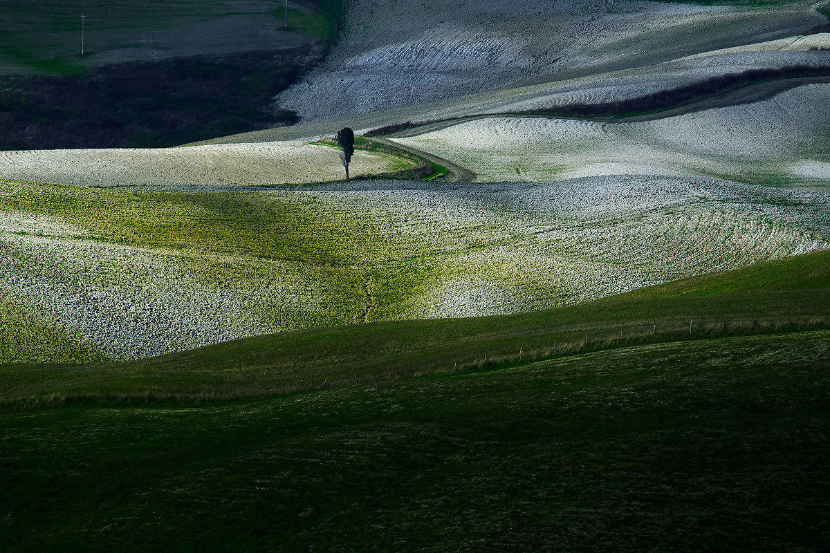 Colline colline di volterra | JuzaPhoto