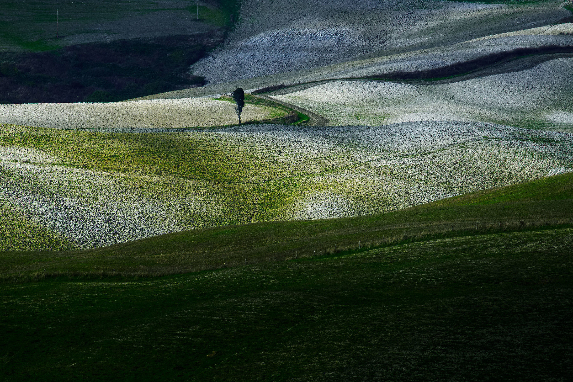 colline di volterra