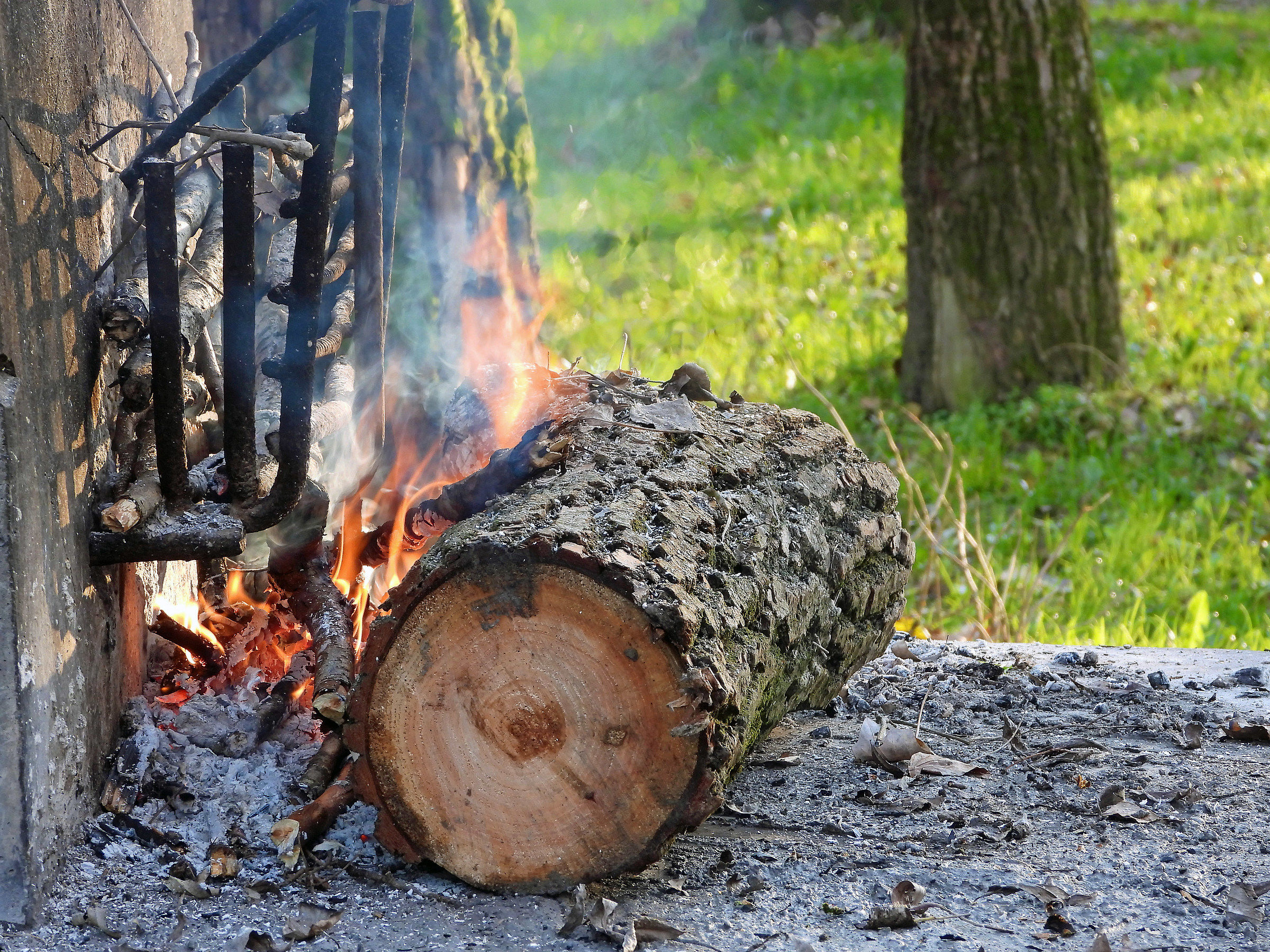 Barbeque in the Woods