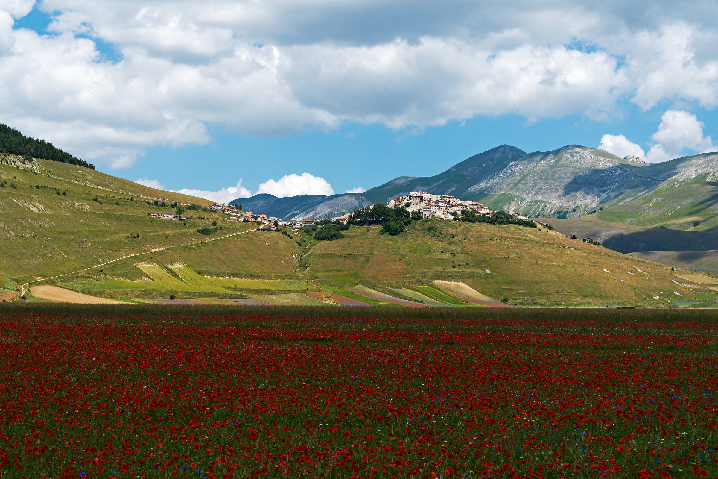 Castelluccio 2018