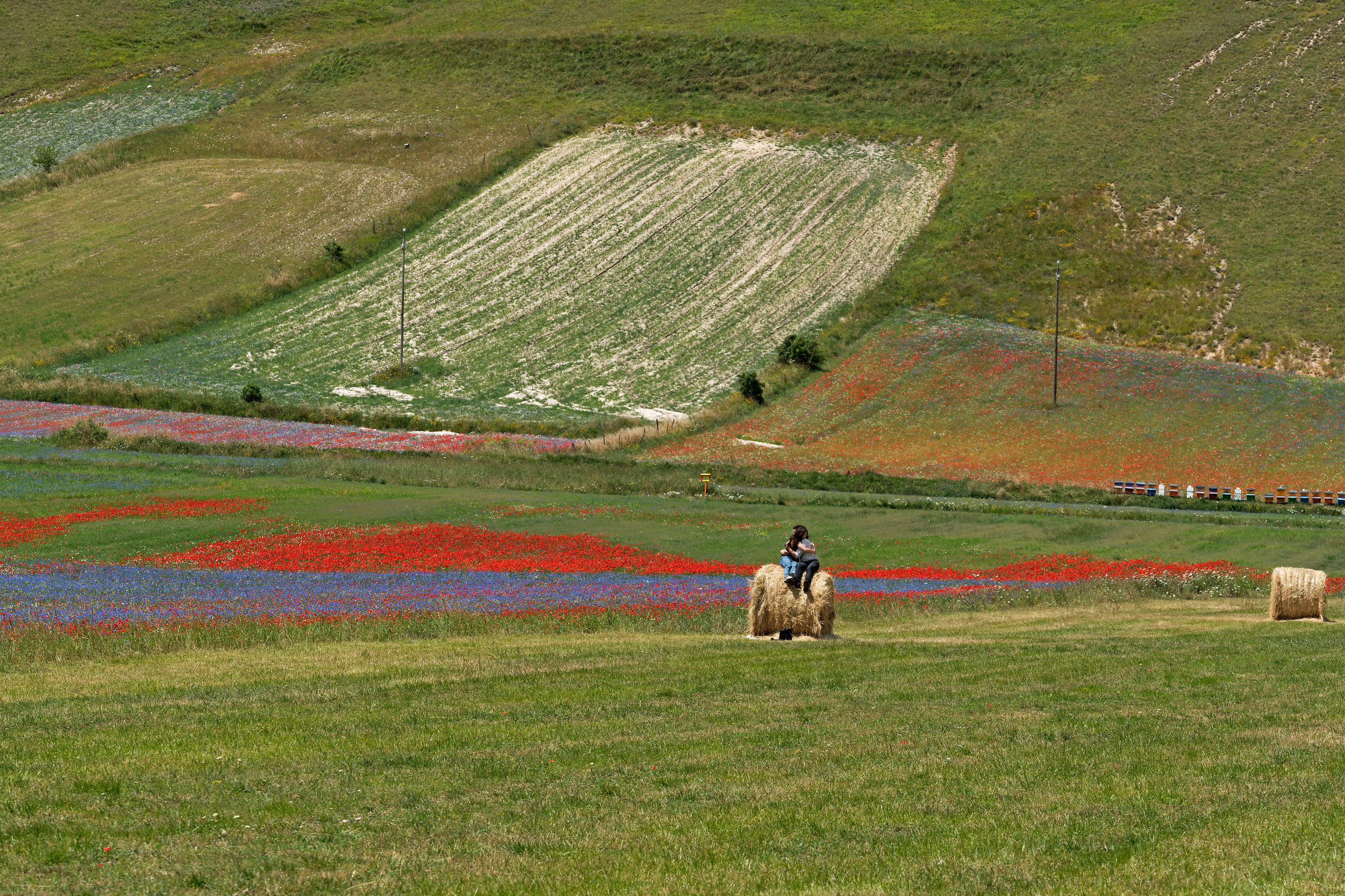 Castelluccio 2018