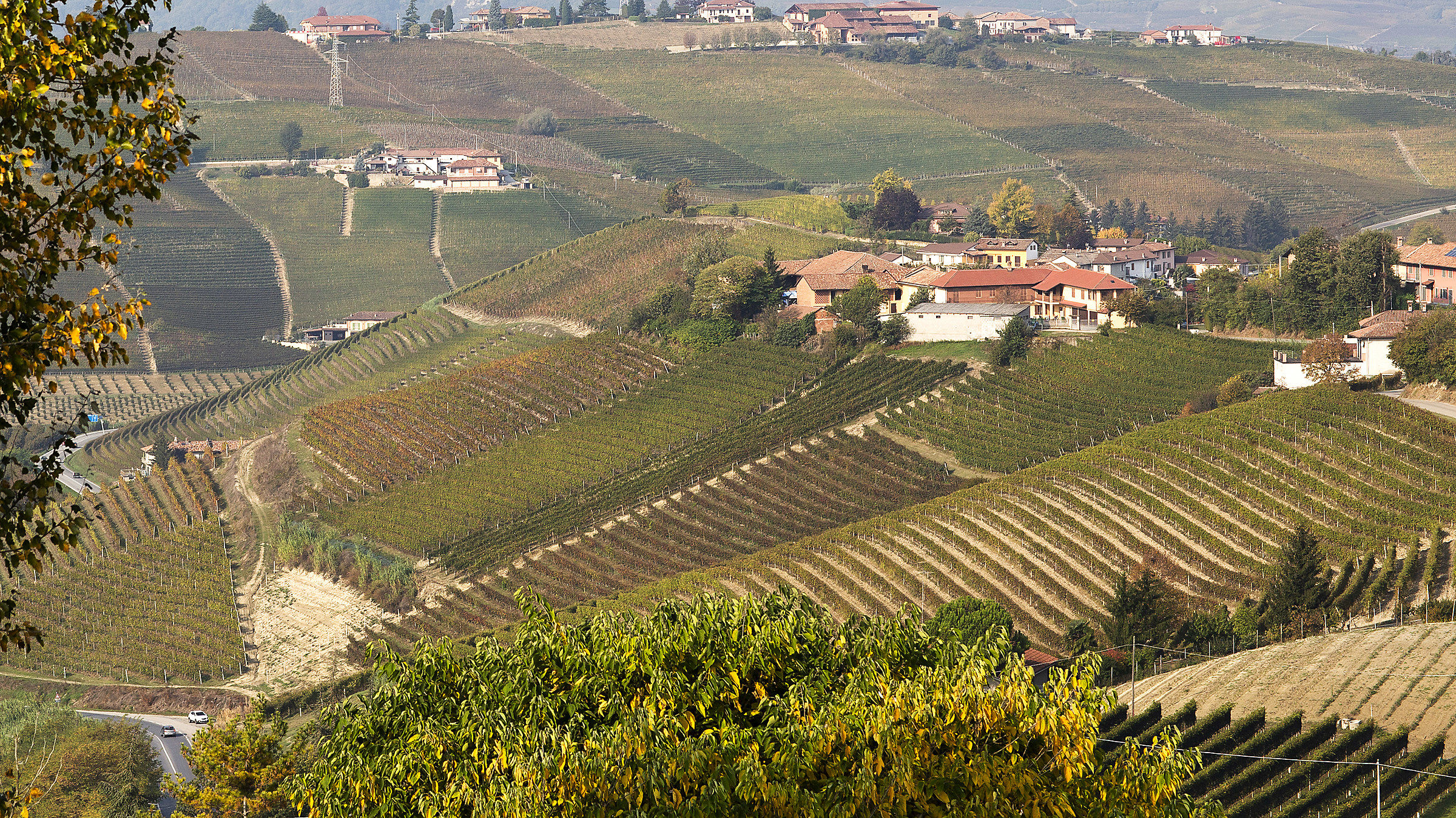 Neive i suoi filari ...