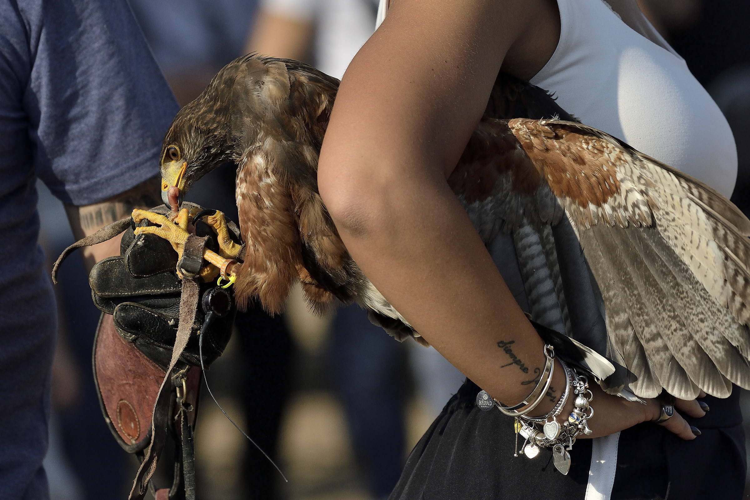 Through the Pertugio