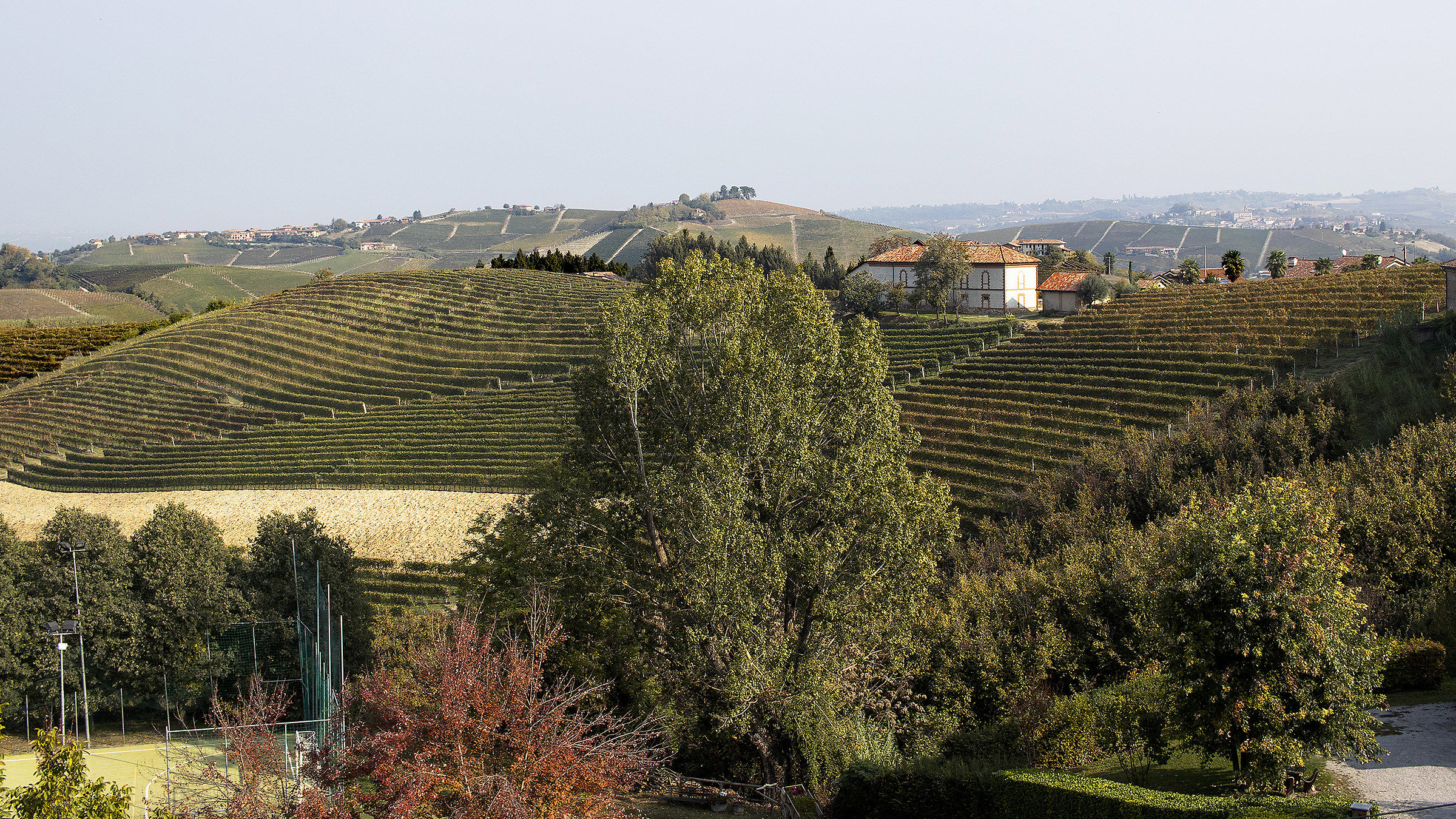 Neive e i suoi filari ...