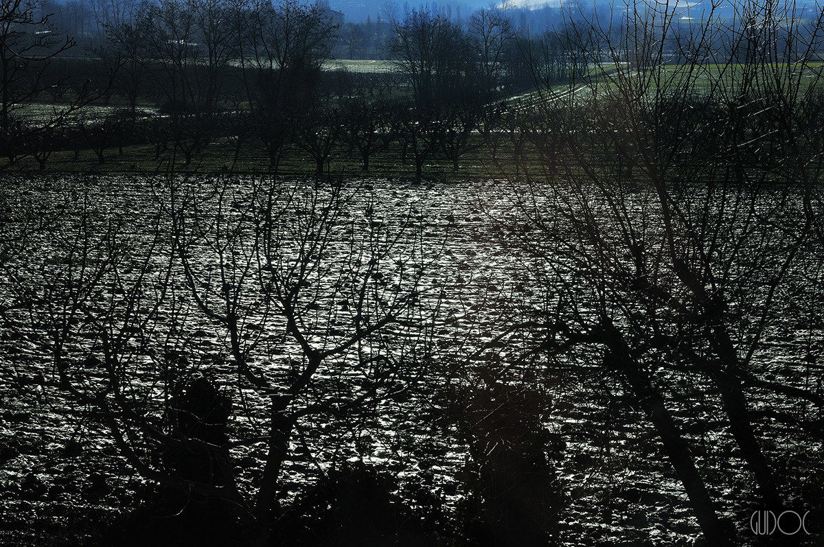 Contrasti in controluce