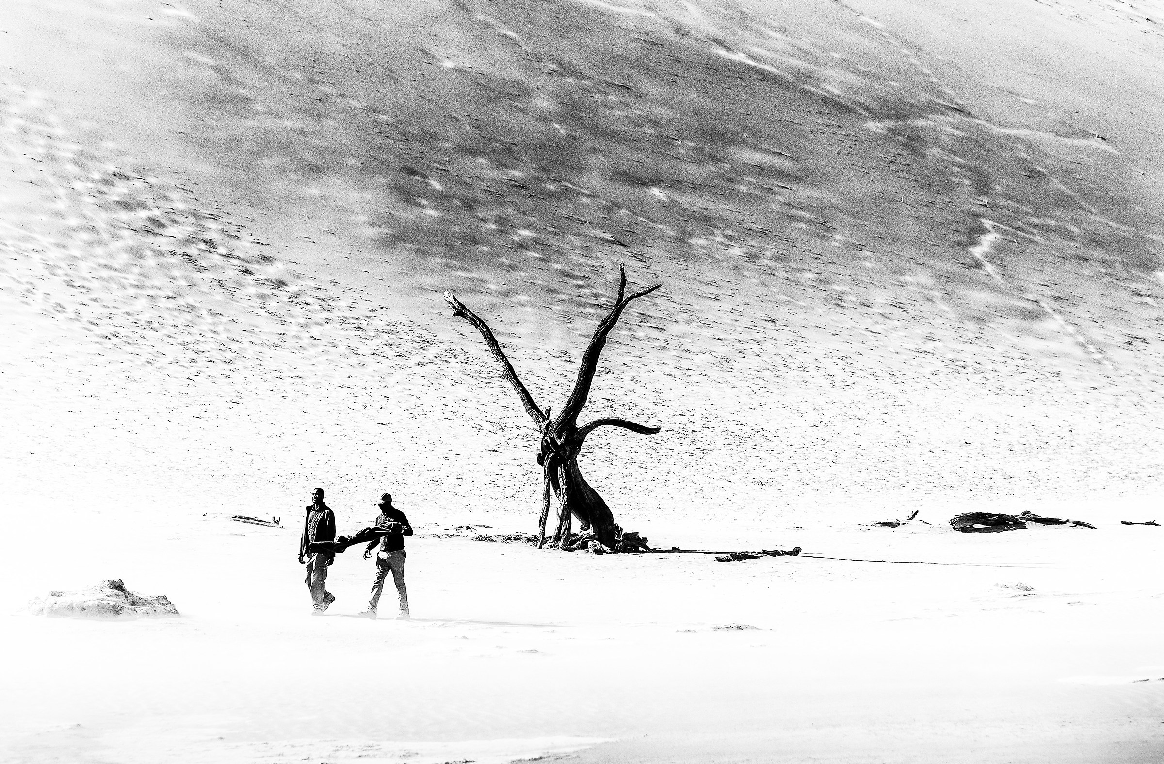 Nell'arido vento del deserto...