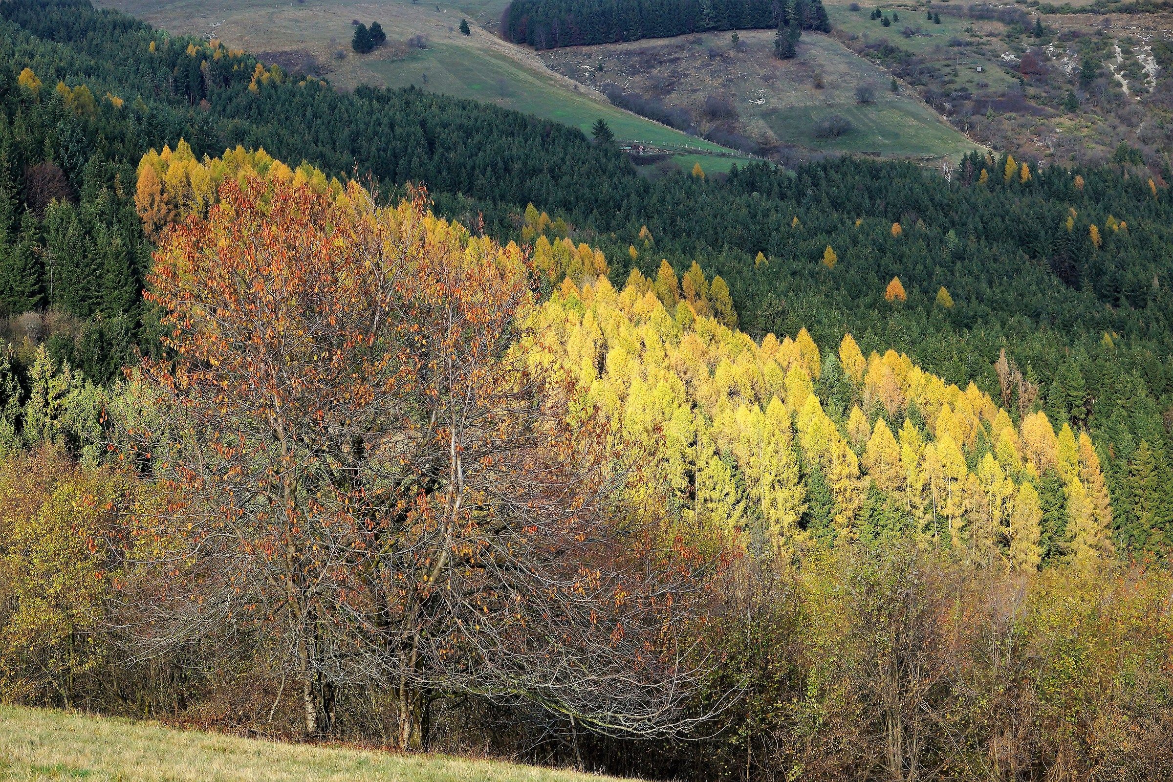 The colors of autumn