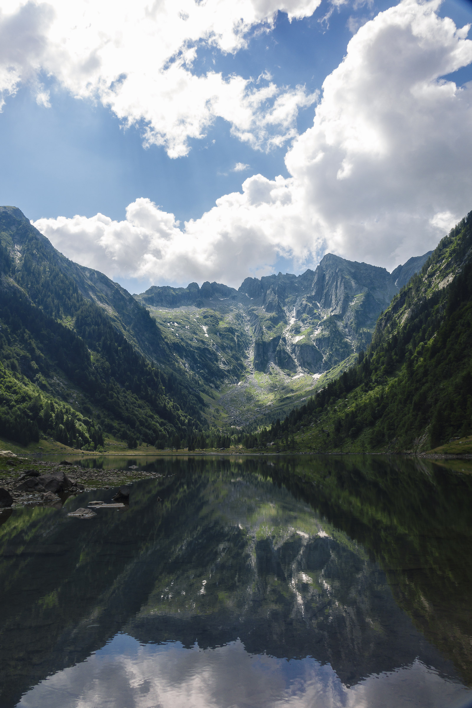 Immersed in the beauty of a Swiss lake