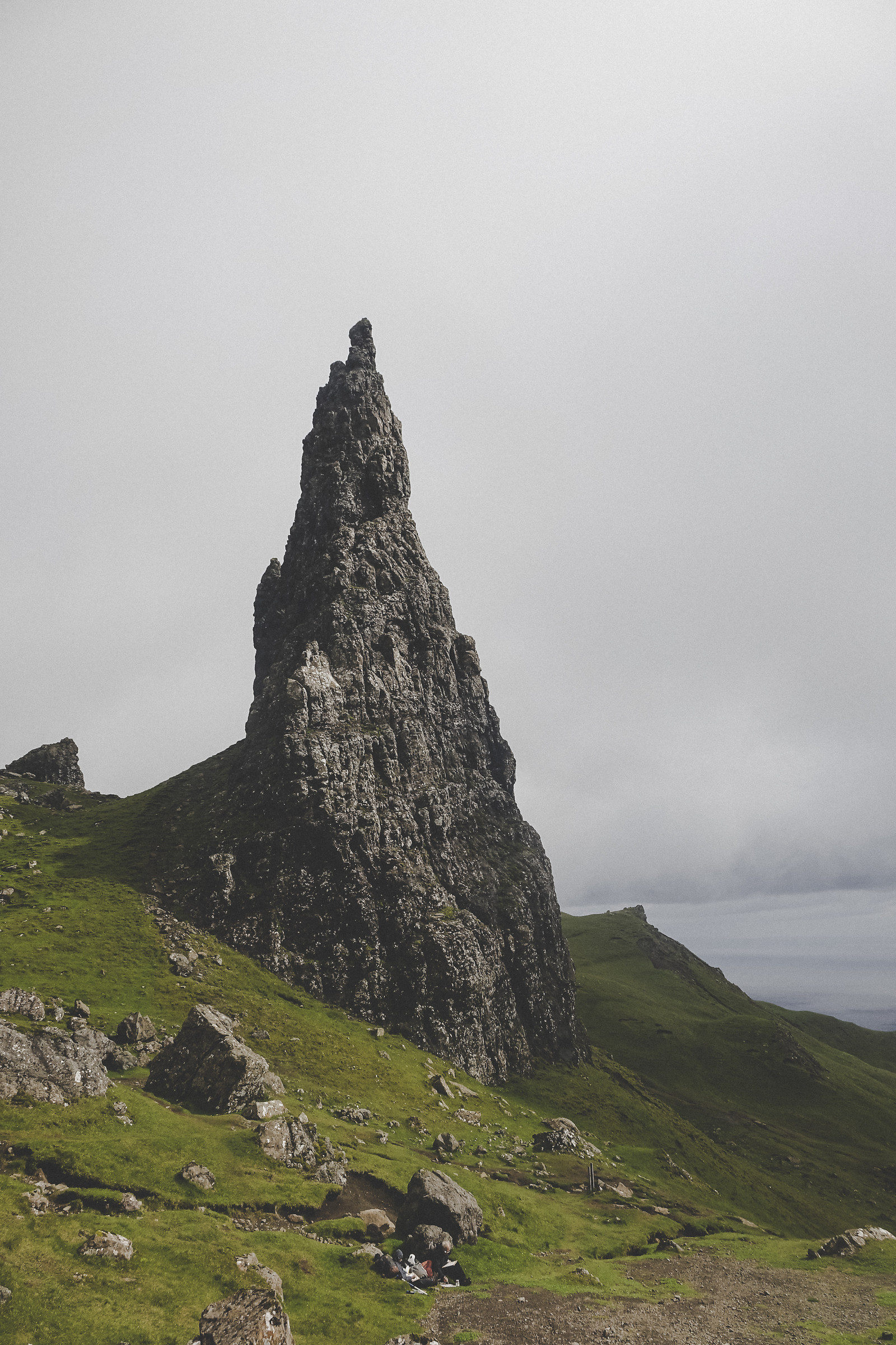 The Scottish Wild Nature