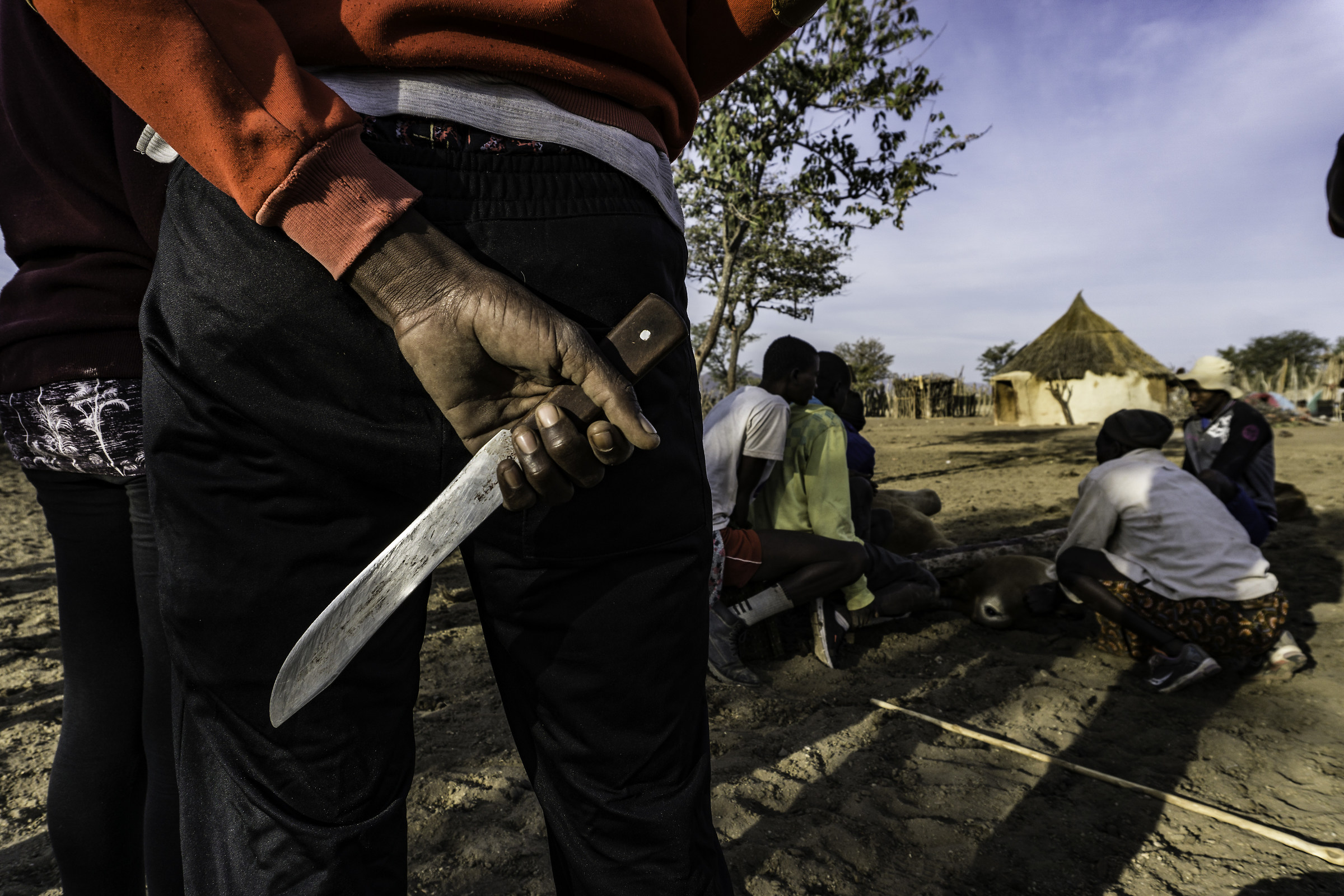 Blade of Terror... in the eyes of the cow