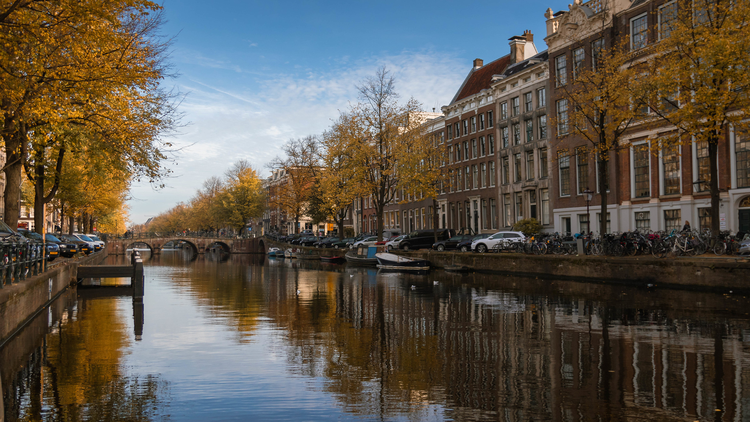 "Riflessi pronti" ad Amsterdam