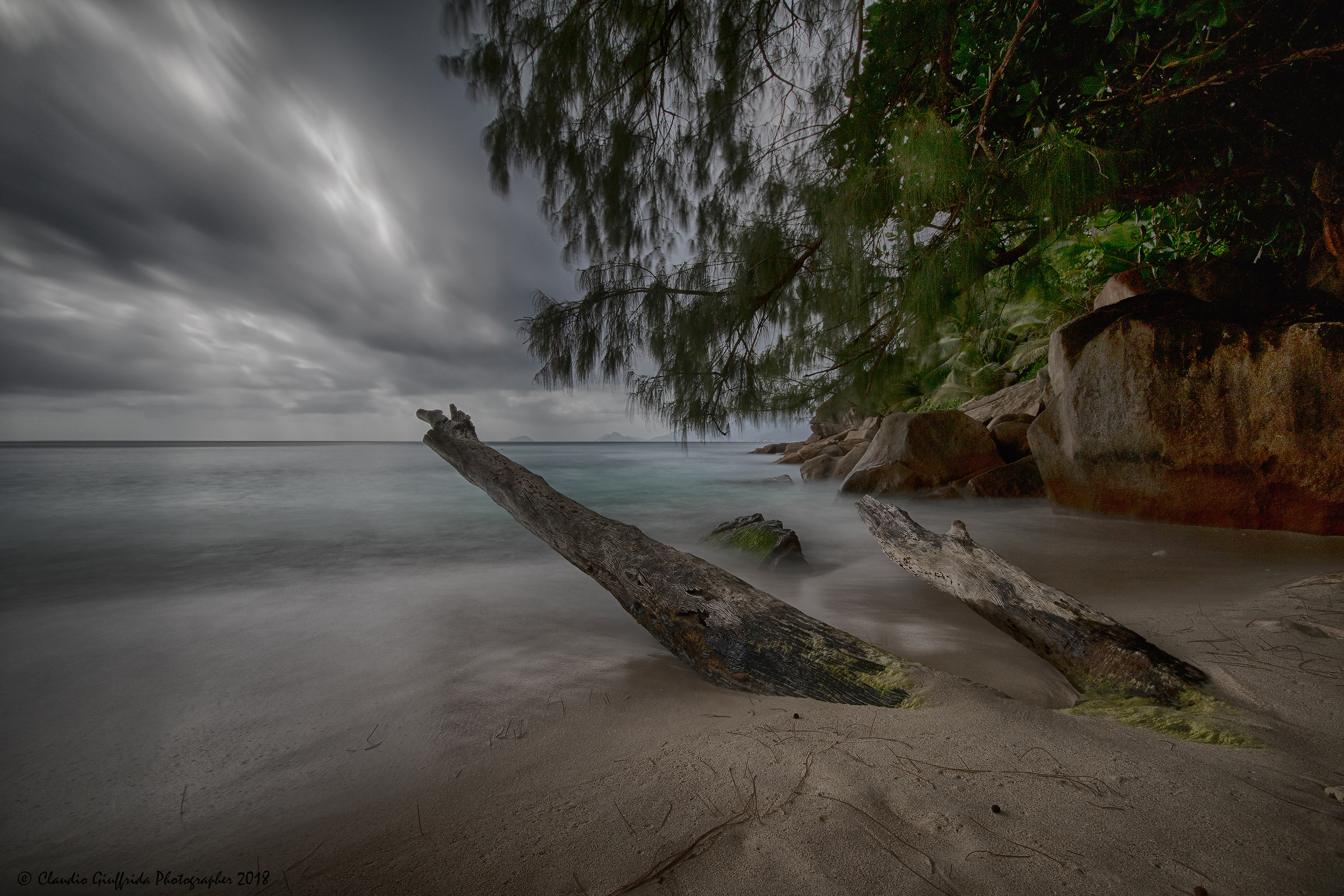 C'era una volta un'albero ad Anse Soleil ...