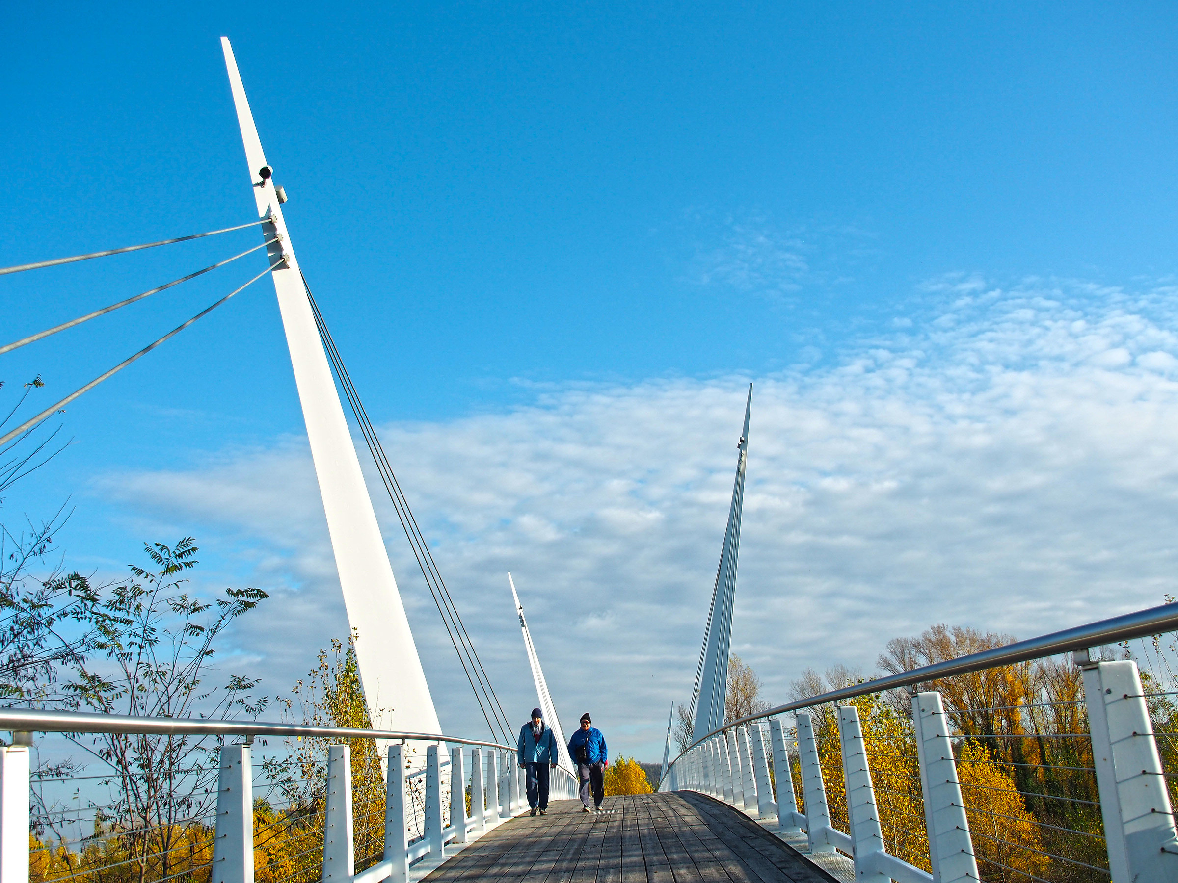 Retired people walking