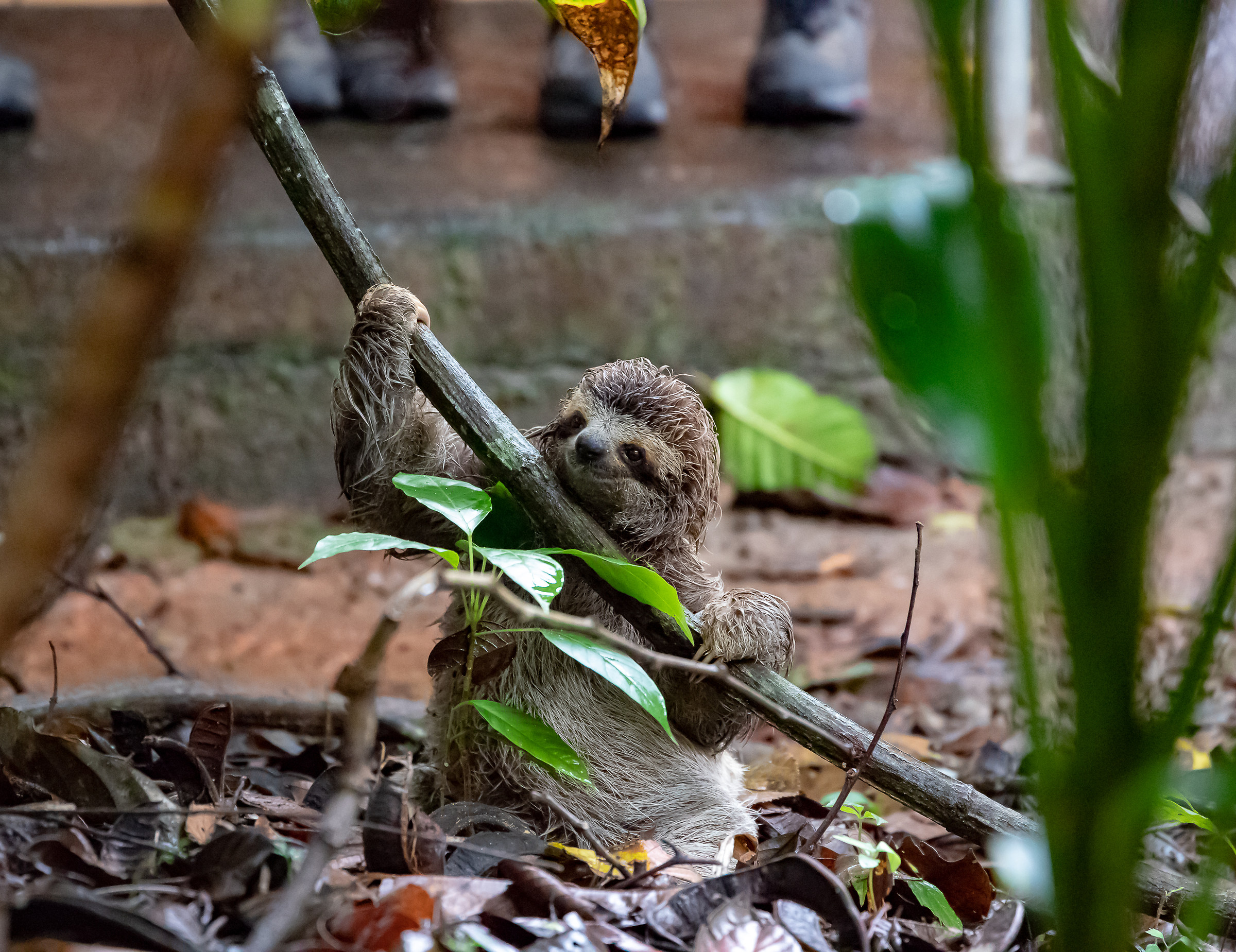 Keep on rockin' in Costa Rica!
