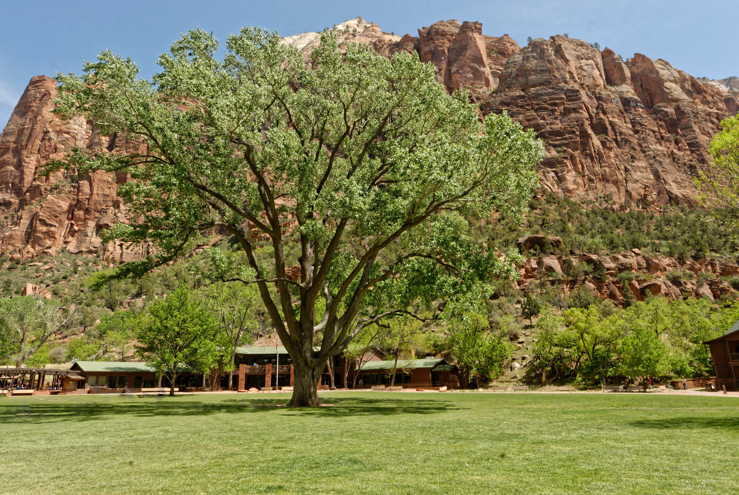 Albero Zion Park