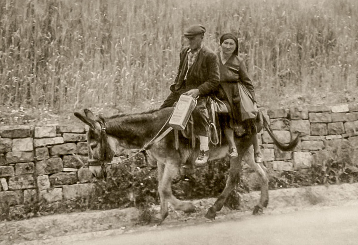 Insieme......per la via e per la vita